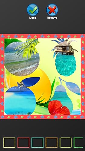 Colagem tropical da foto