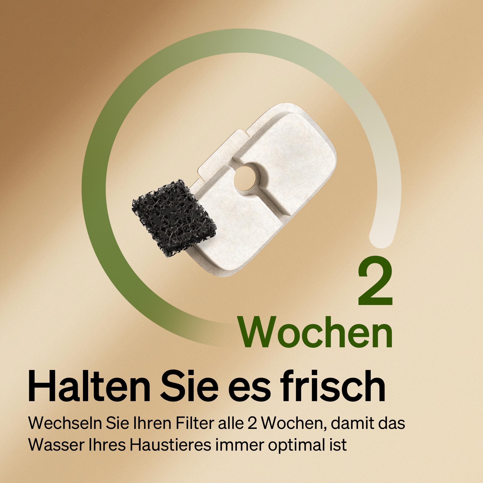 PETLIBRO Kattenfonteinfilter, set van 4 reservefilters en sponzen voor dockstream WF106/WF116/WF105/WF115/WF005/WF305, 2-maands-set, eenvoudige vervanging voor PETLIBRO drinkfonteinfilter