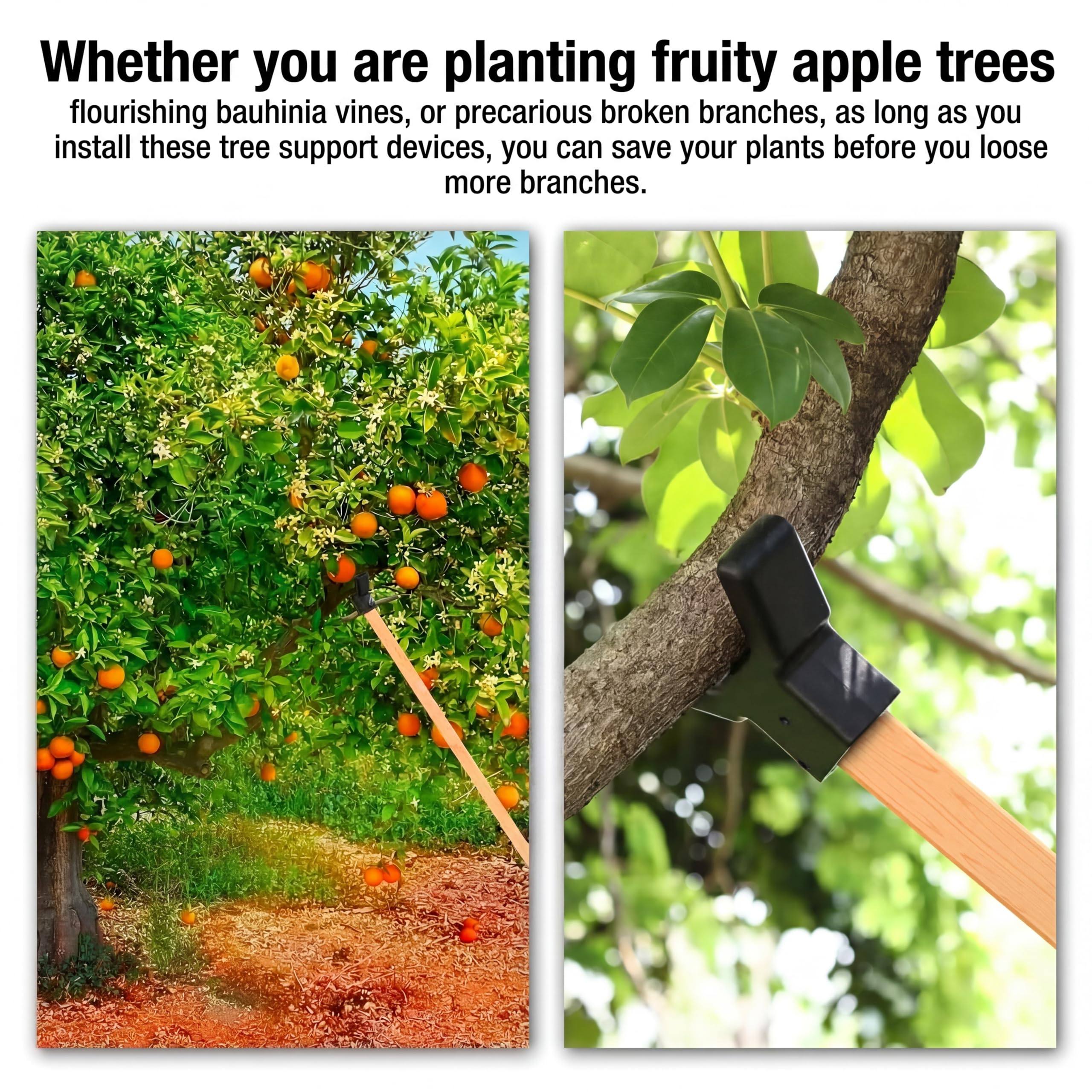Soportes para árboles frutales - Colección Nueva 2026