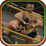 Wrestling Puzzle Challenge