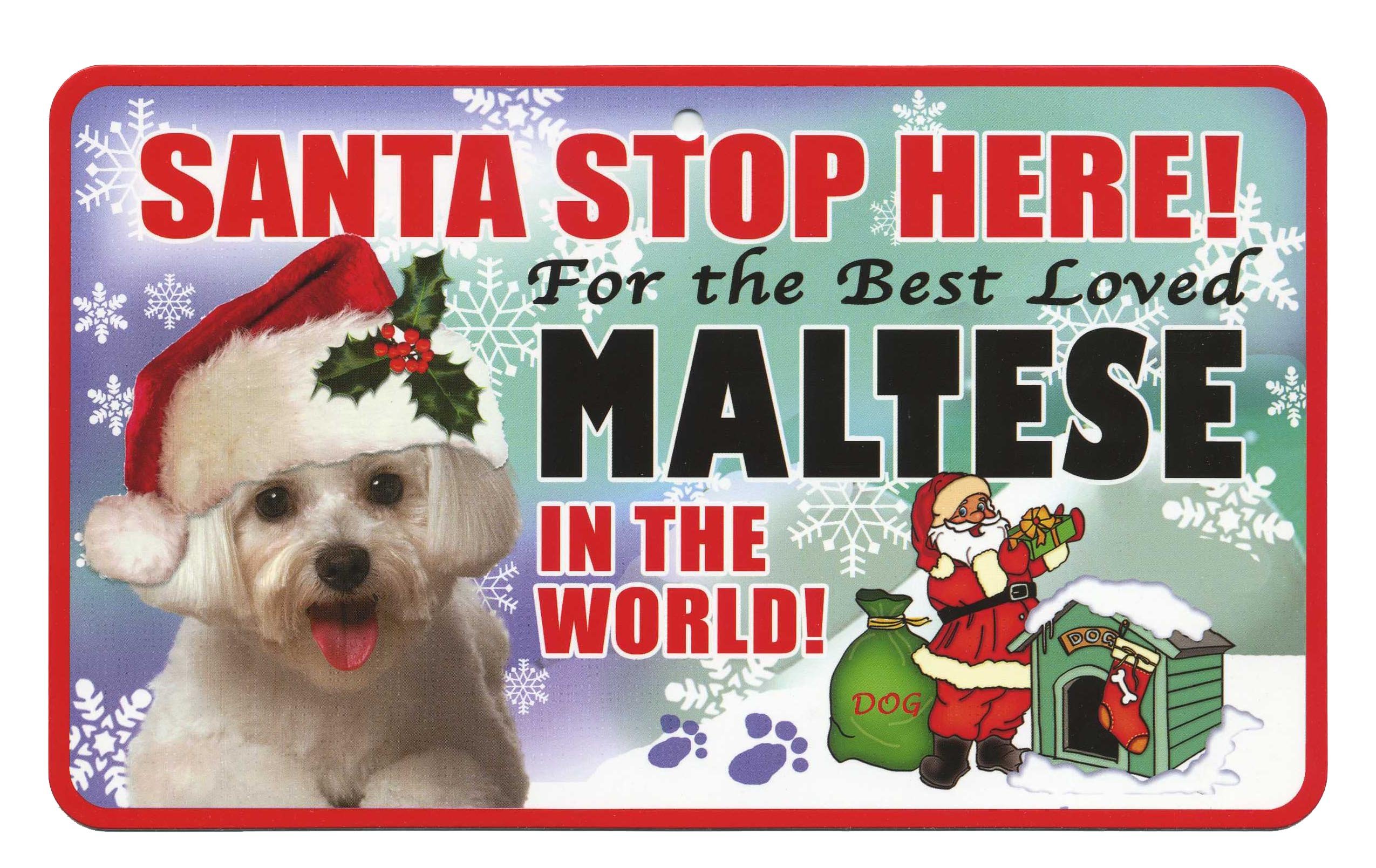Instant Gifts Pet Santa Signs Maltese Santa Stop Here Pet Sign