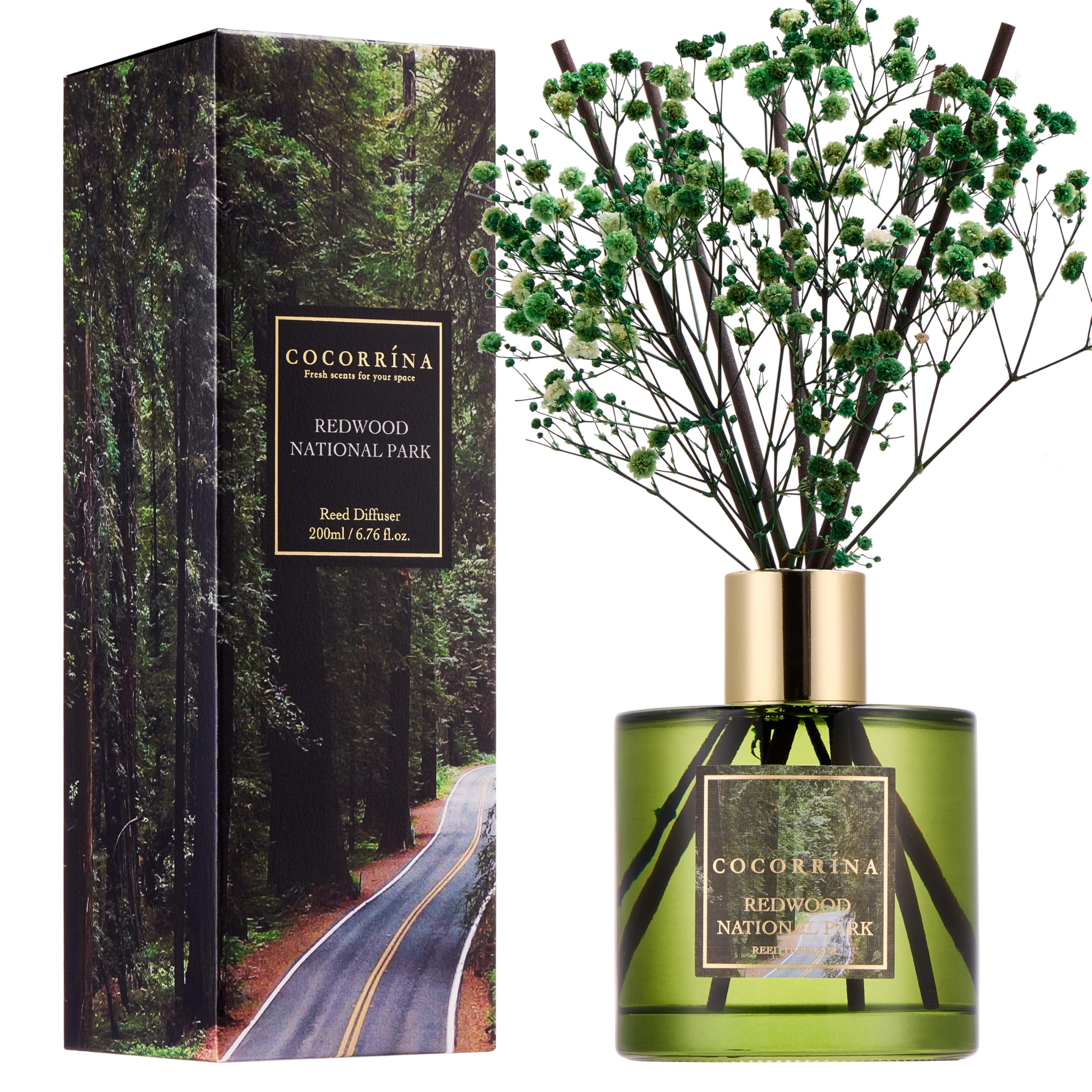 COCORRÍNA Reed Diffuser - Redwood National Park 6.7 Fl.oz Reed Diffuser Set with 8 Sticks &amp; Preserved Baby's Breath, Reed Diffuser for Home Bathroom Shelf Decor