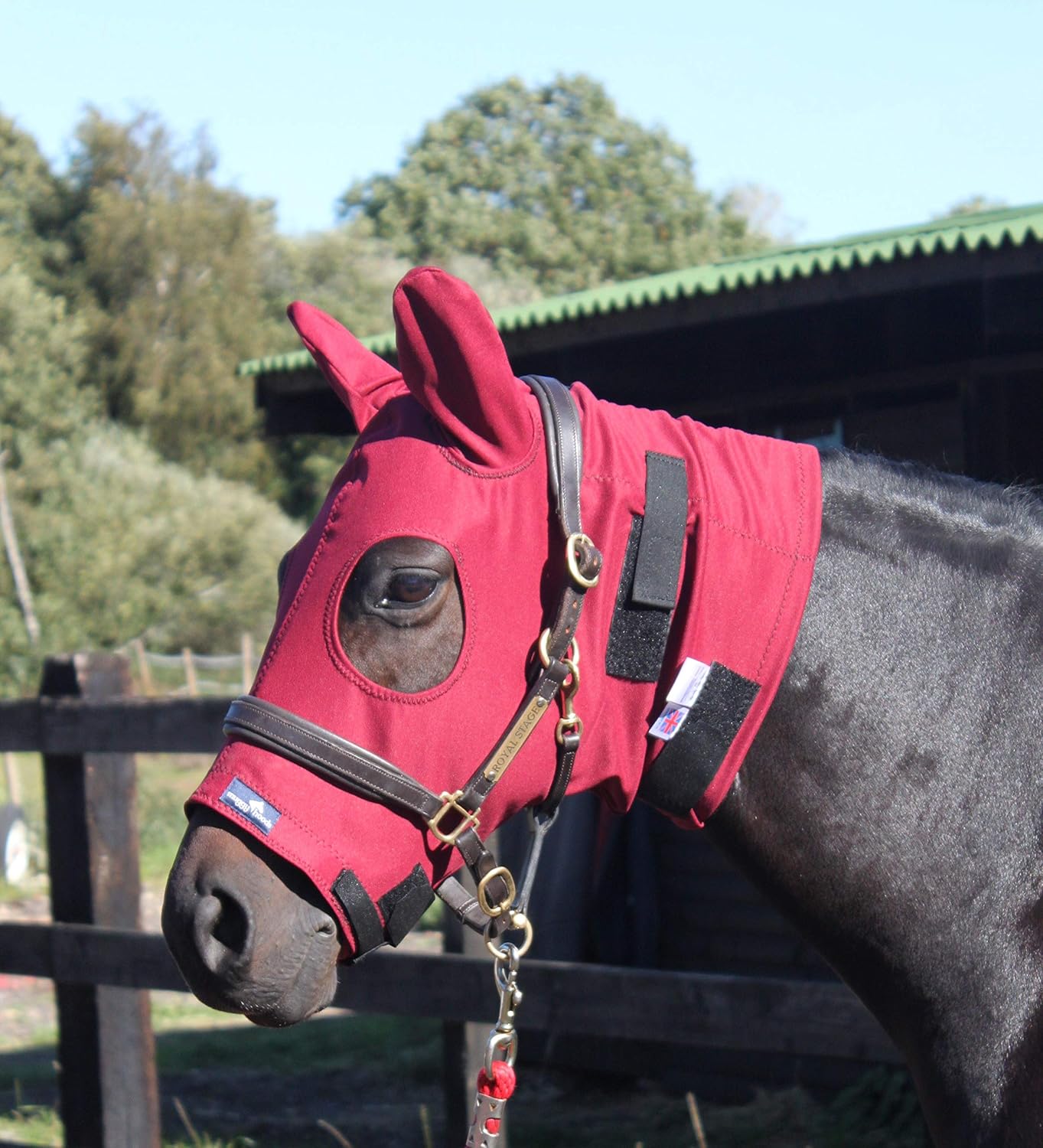 Turn Out Mask for Horse or Pony | Weatherproof Turnout Head | Premium Quality by Snuggy Hoods | Zip Version | 3 Colours, 8 Sizes (Burgundy, XS)
