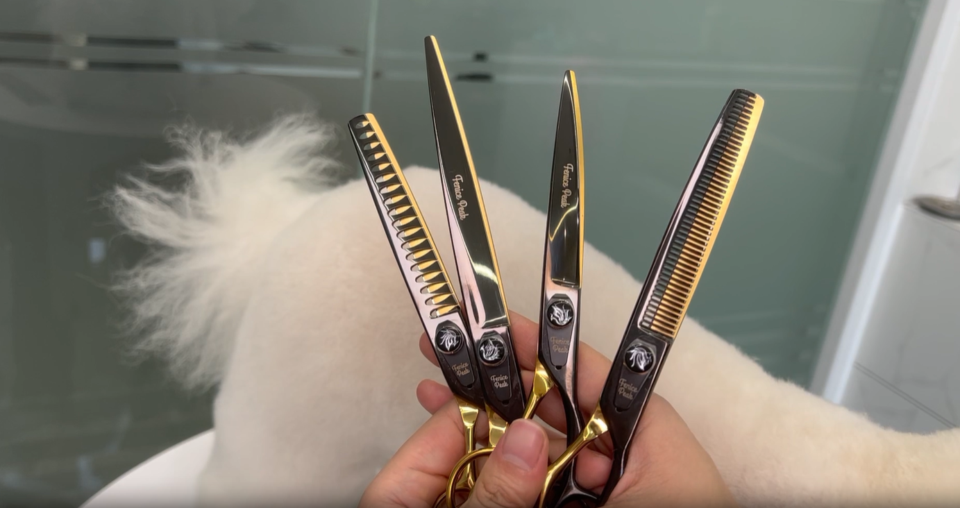 Amazon.com: Fenice Peak 7'' Black and Gold Two-color Dog