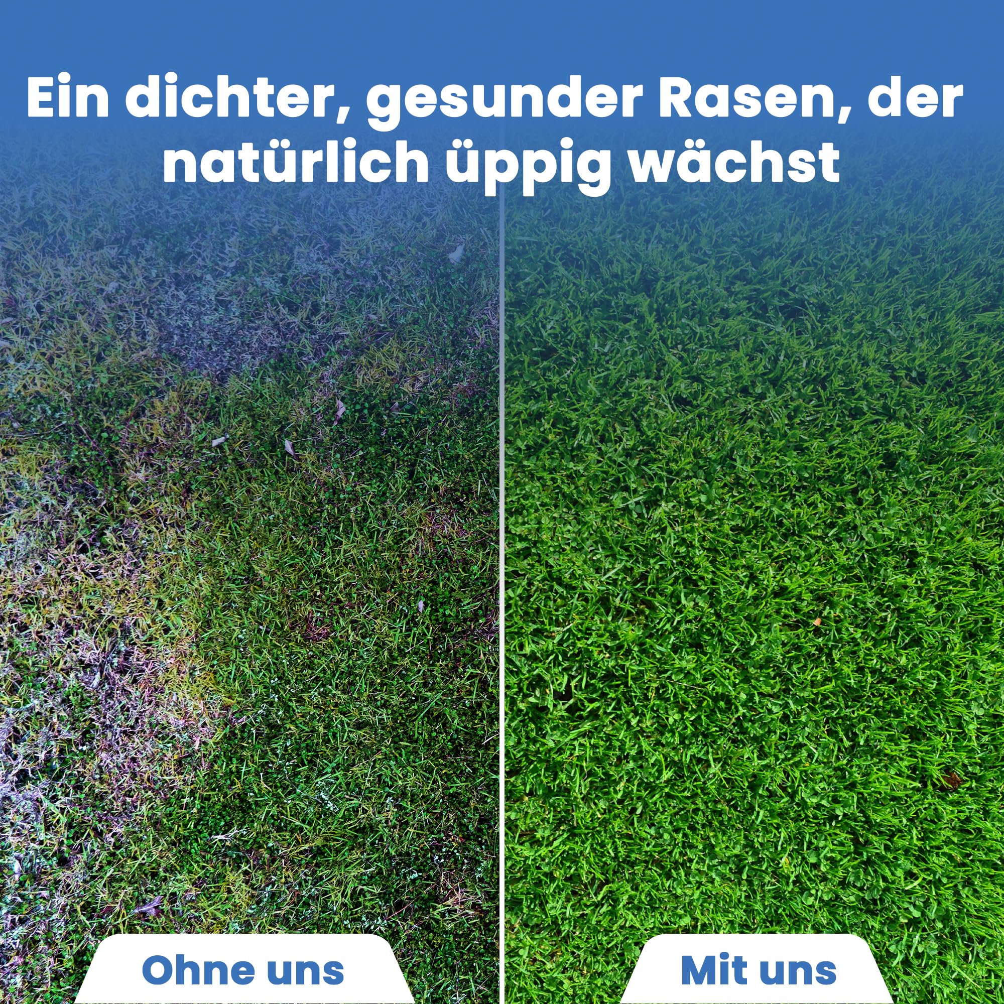 LERAVA Rasendünger Frühjahr (185m²) - Stickstoffdünger NPK mit Langzeitwirkung - Mineralischer Frühjahrsdünger für dichten grünen Rasen - Fördert Wachstum & Regeneration - Rasenpflege Dünger 4,6kg