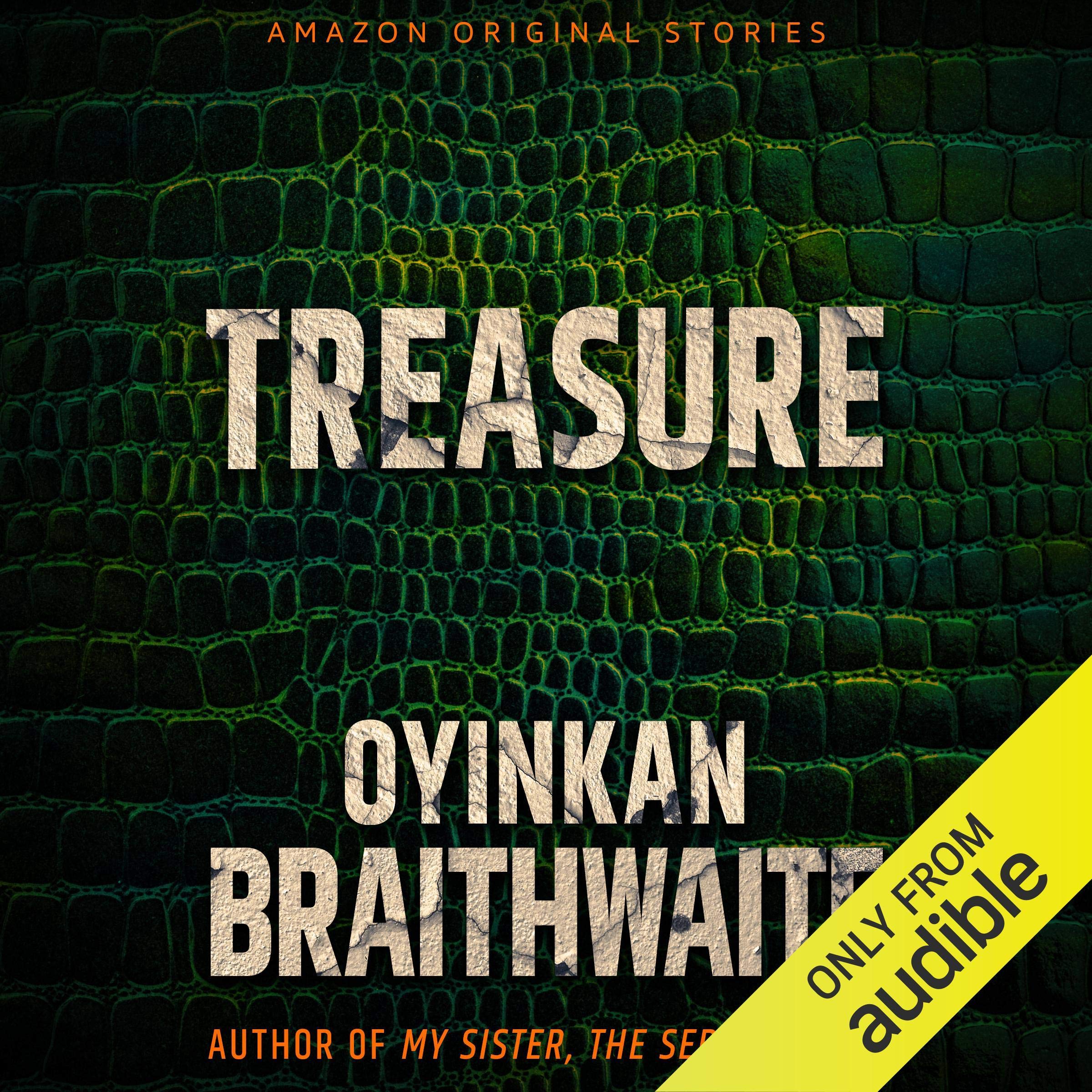 Cover art for Treasure