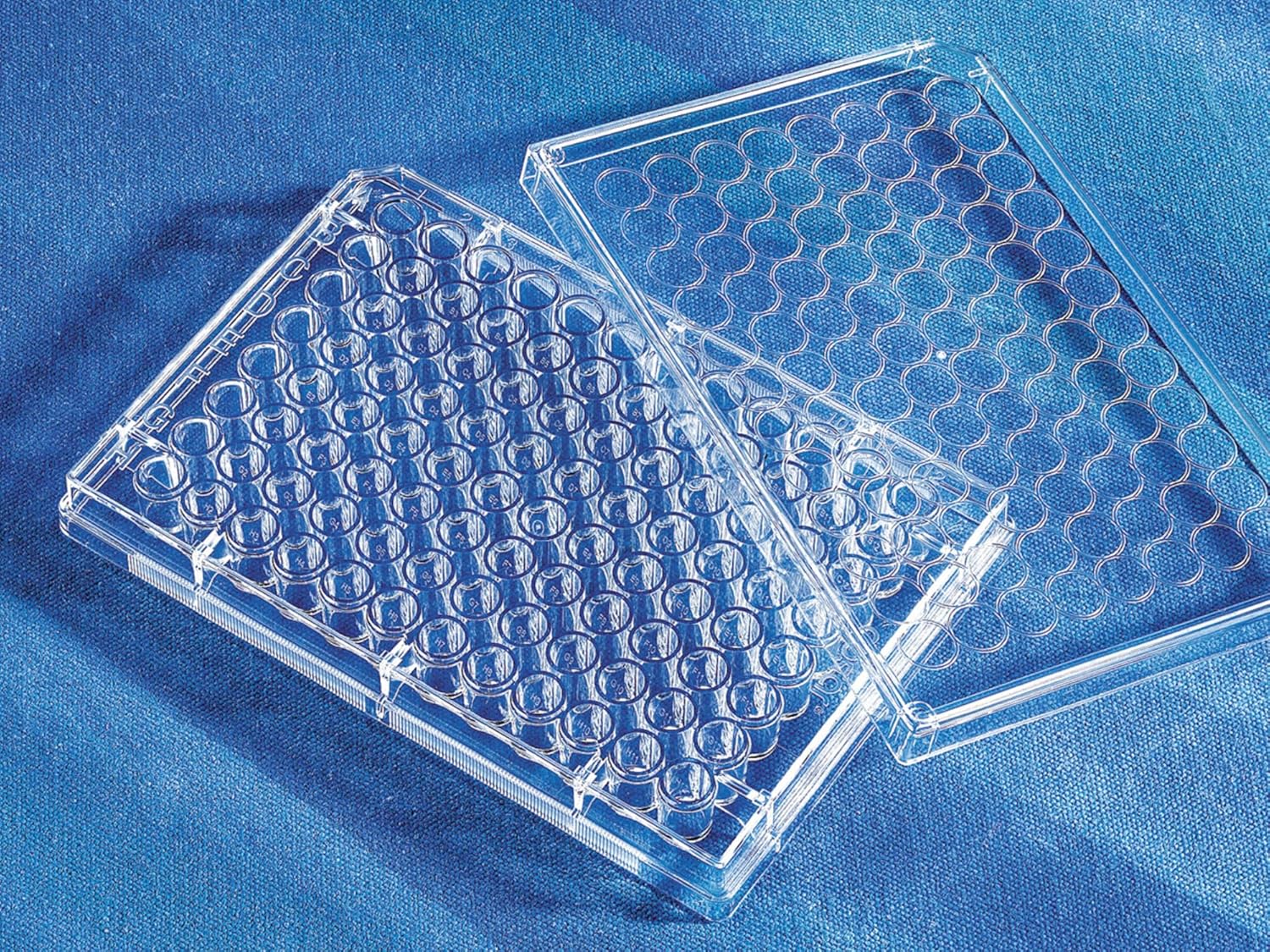 Costar 3997 96-Well Cell Culture Plates with lid, Flat Well, Treated, sterile, 50/cs
