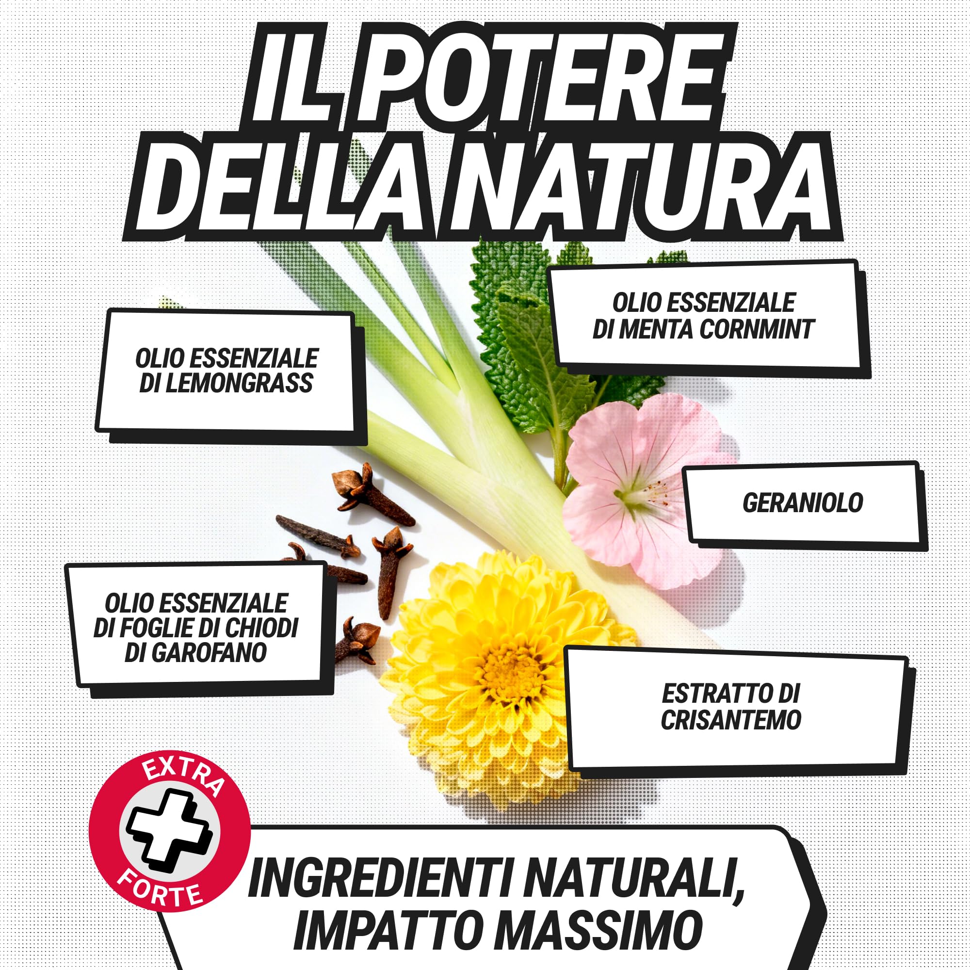 RepellShield Spray Vespe e Calabroni ad Azione Rapida -500ml- Non Macchia - Repellente Vespe da Esterno e Interno - Non Tossico, Sicuro per Bambini - Ideale per Balconi e Giardini