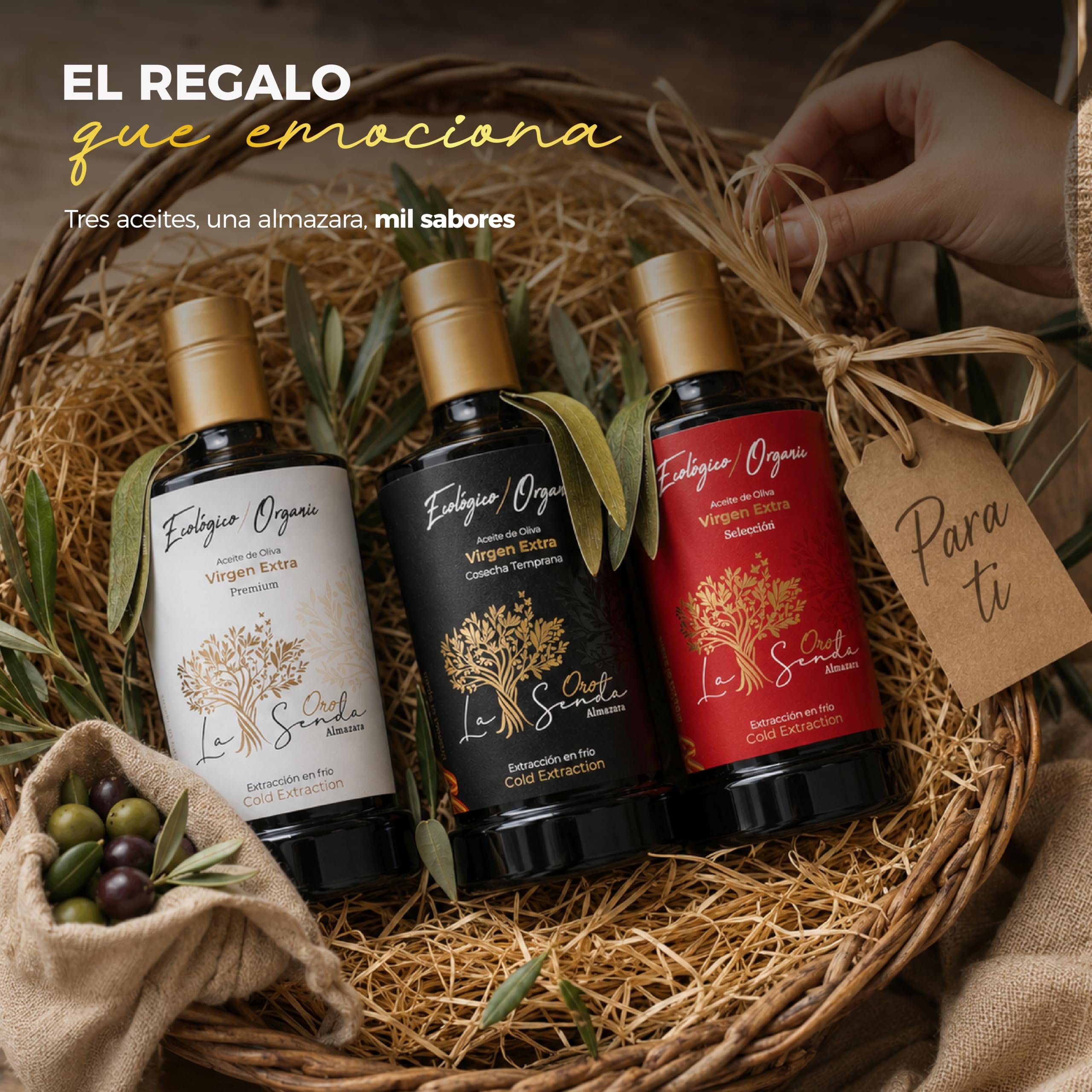 Almazara La Senda Pack 3 Aceite De Oliva Virgen Extra Ecológico (1,5 L) - Cosecha Temprana, Selección Centenaria Y Premium | AOVE DOP Campo Montiel, Extracción al Frío | Regalo Gourmet Especial