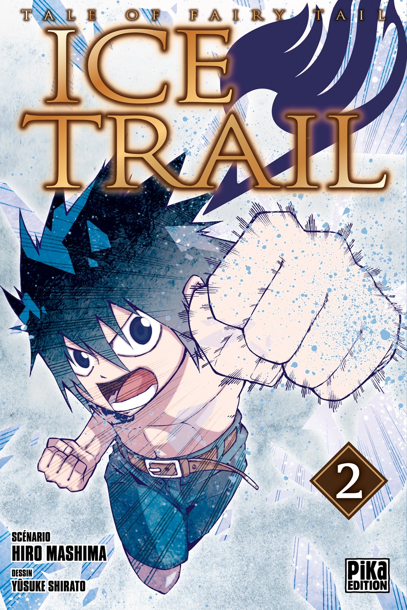 Fairy Tail - Ice Trail T02 (Fairy Tail - Ice Trail (2))