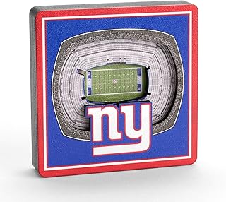 YouTheFan NFL NFL 3D StadiumView Magnet