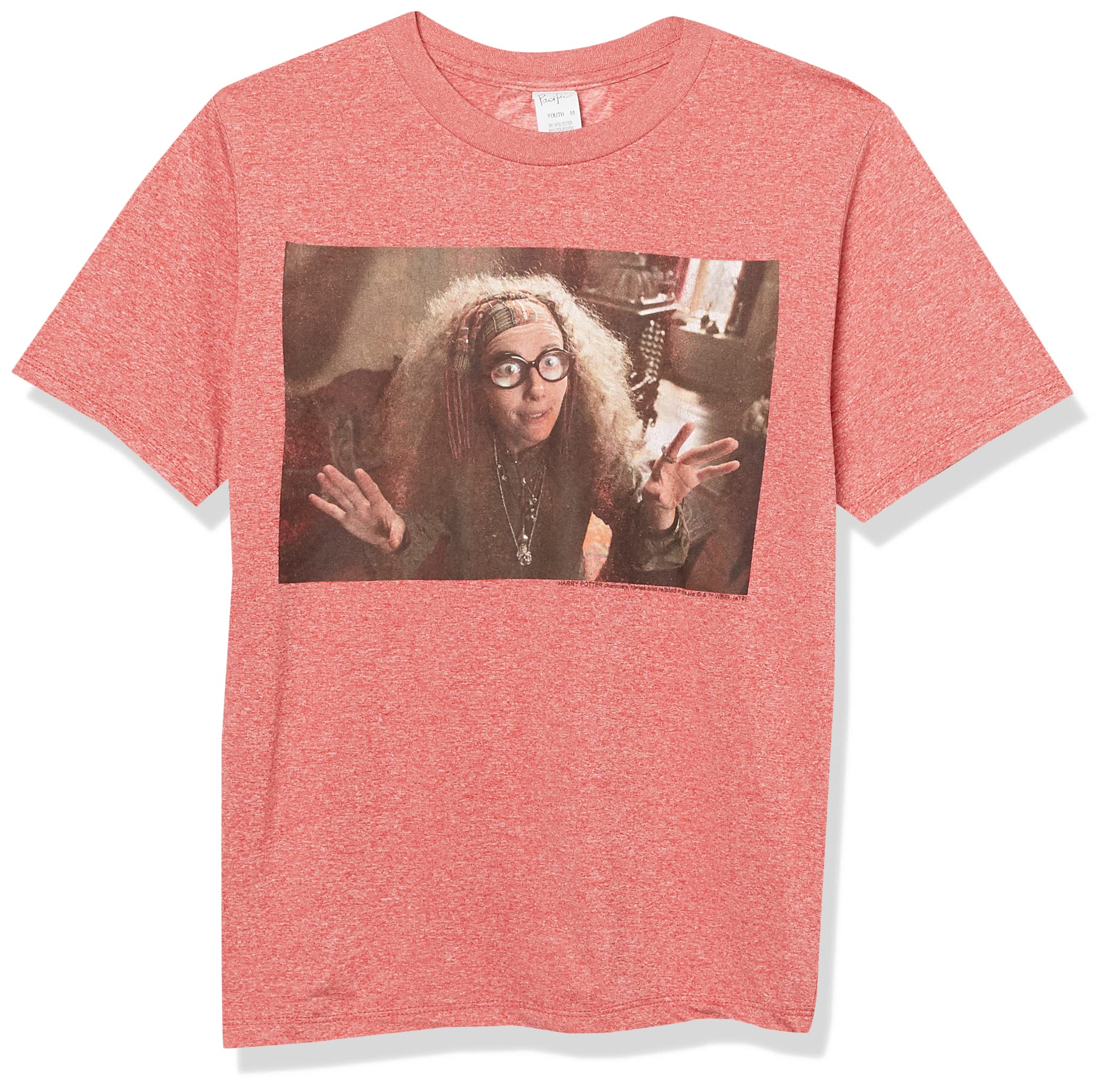 Warner Bros boys Prof Sybill T-Shirt