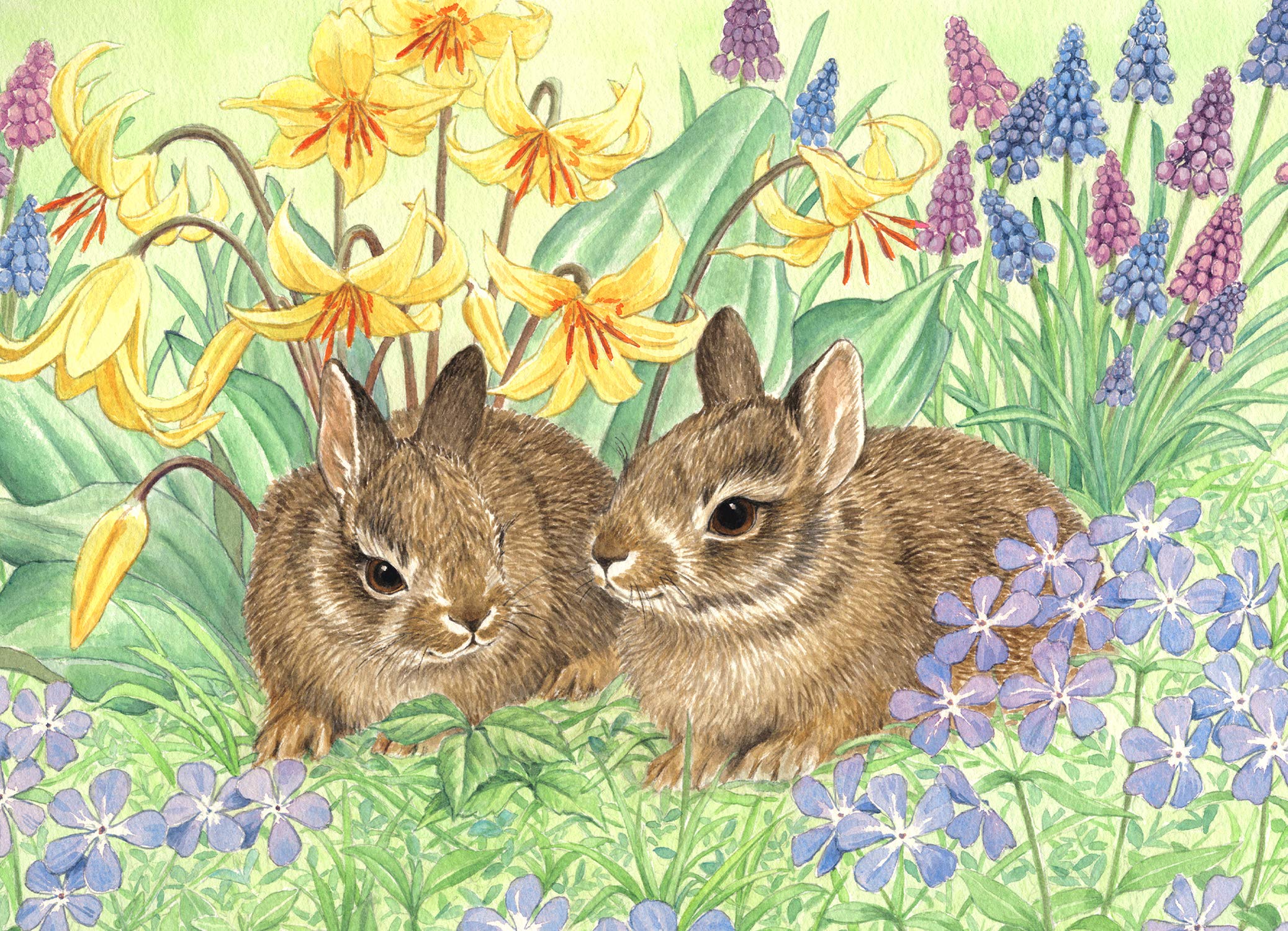 Willow Creek Press Calendars, Sunny Bunny 1000 Piece Puzzle