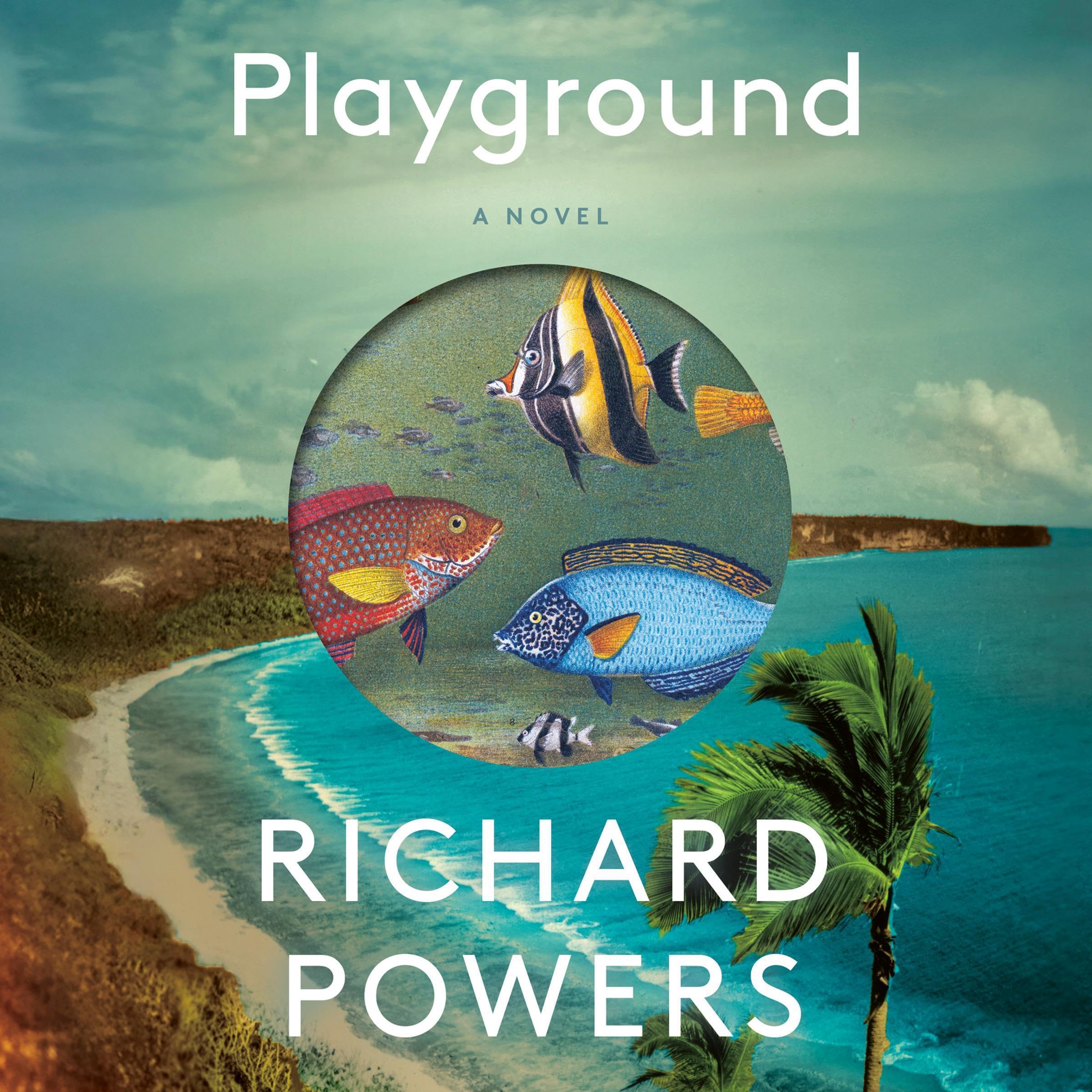 Playground: A Novel