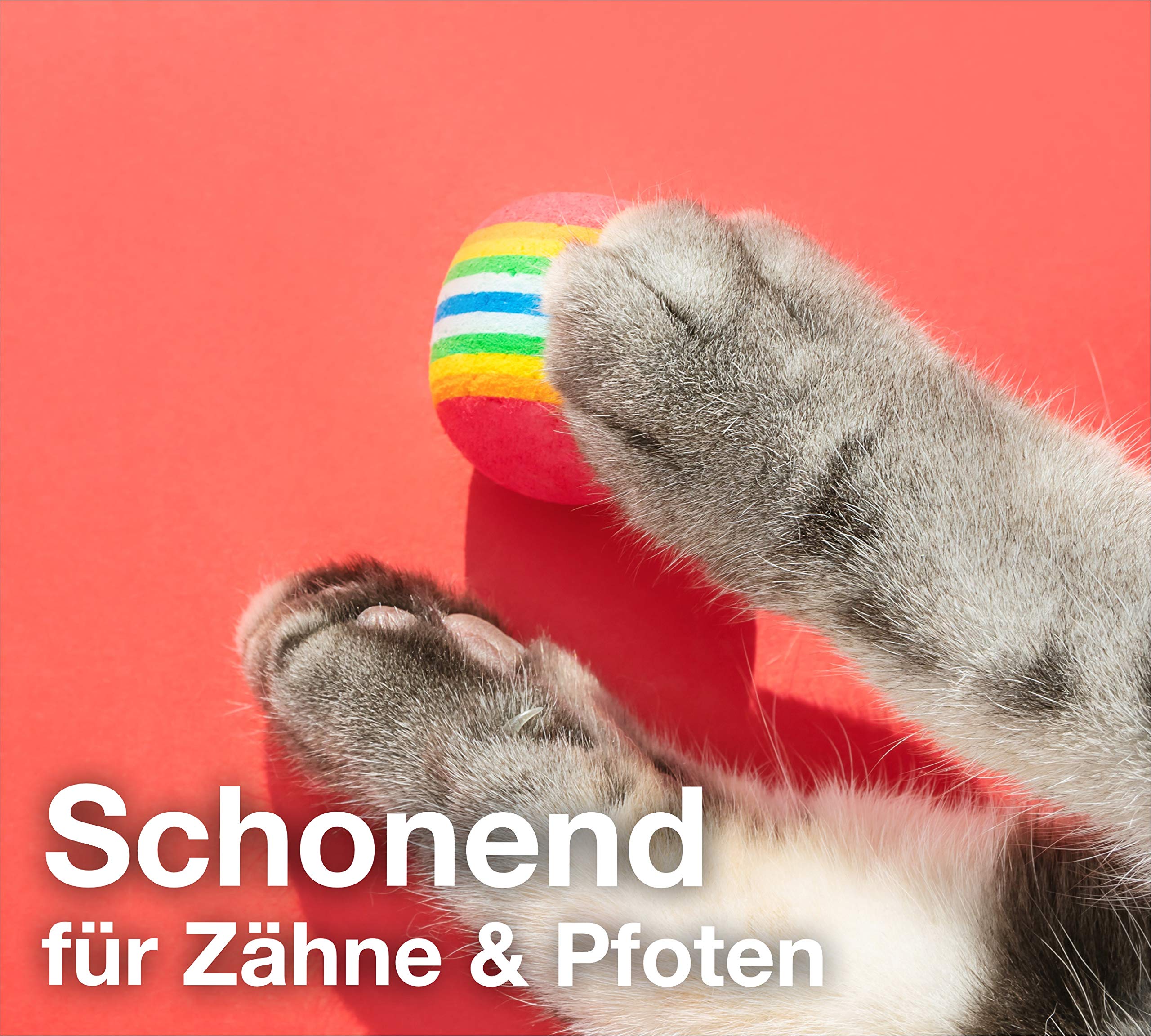 Katzenspielzeug Set – 20-teiliges XXL-Set Mit Angel, Mäusen, Tunnel & Bällen Zur Beschäftigung