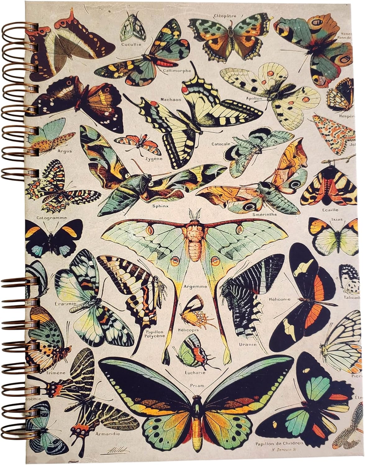 Sketchbook para Desenho A4 27x19 cm Espiral 240g 100 páginas Borboletas Vintage