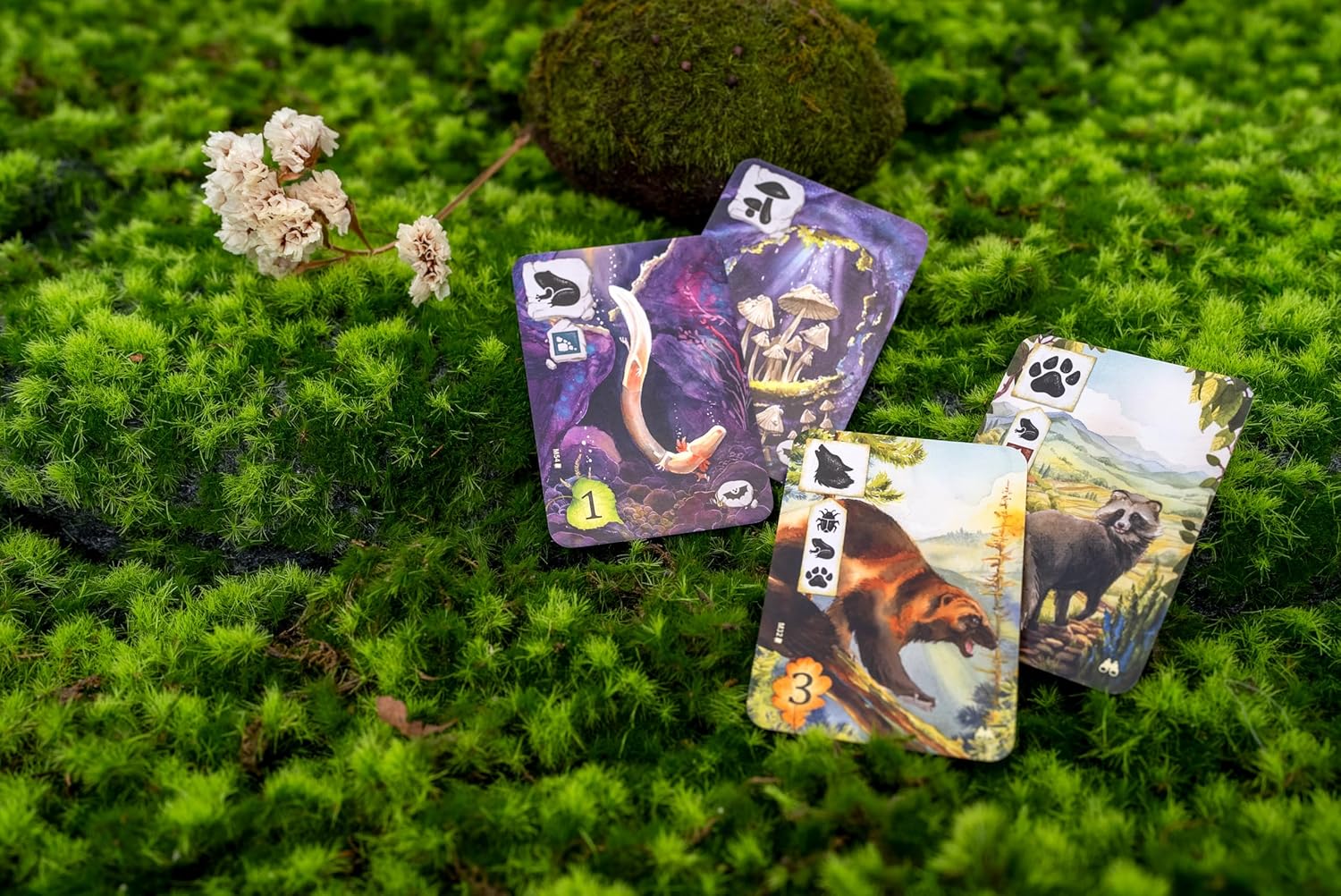 Meadow Adventure Book - Innovative Board Game Expansion with Watercolor Illustrations - Explore Nature Through Unique Scenarios! Ages 10+, 1-4 Players, 60-90 Minute Playtime, Made by Rebel Studio