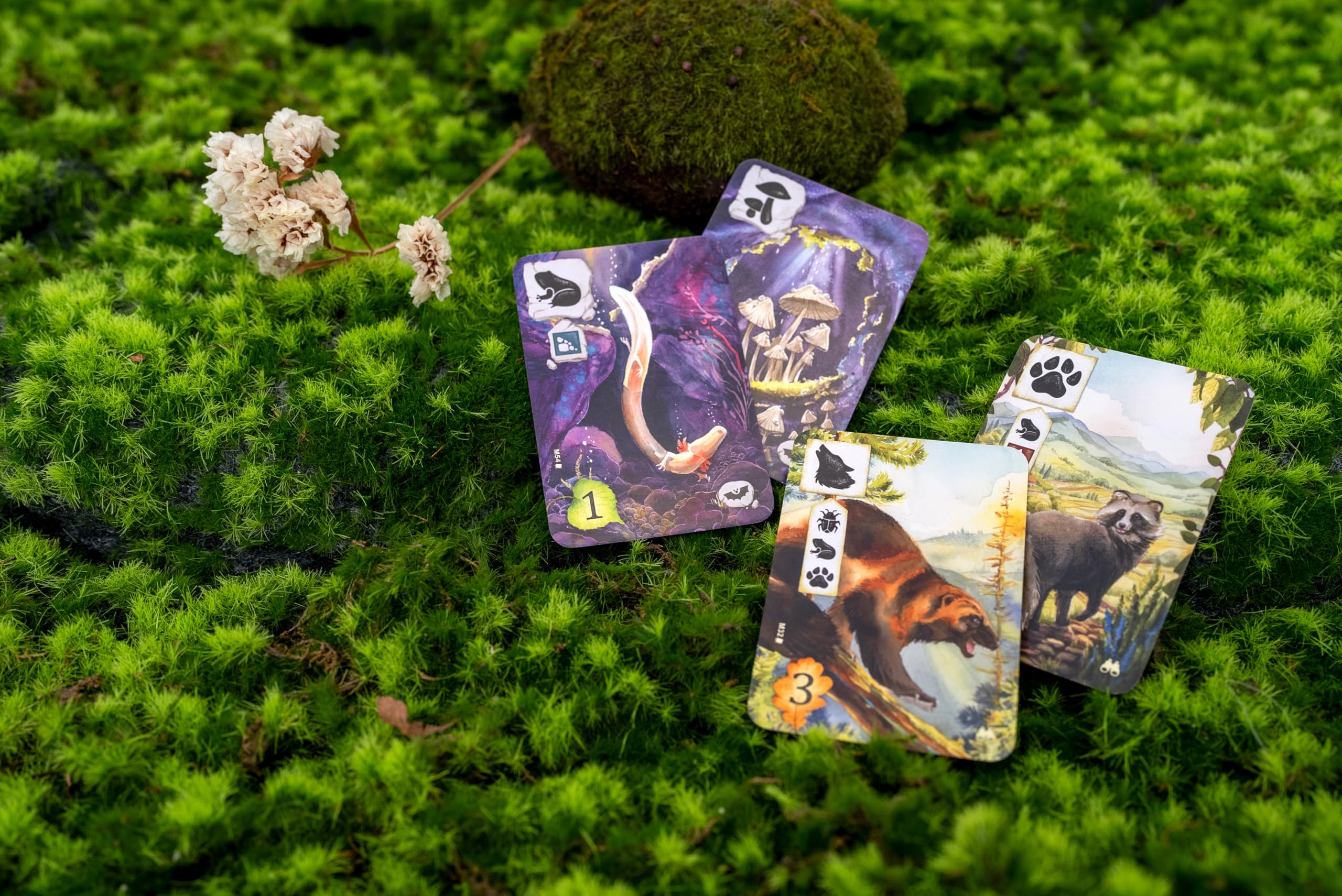 Rebel Wiese: Abenteuerbuch, Story-Book-Spiel, ab 10 Jahren, 1-4 Spieler, 60-90 Minuten Spieldauer