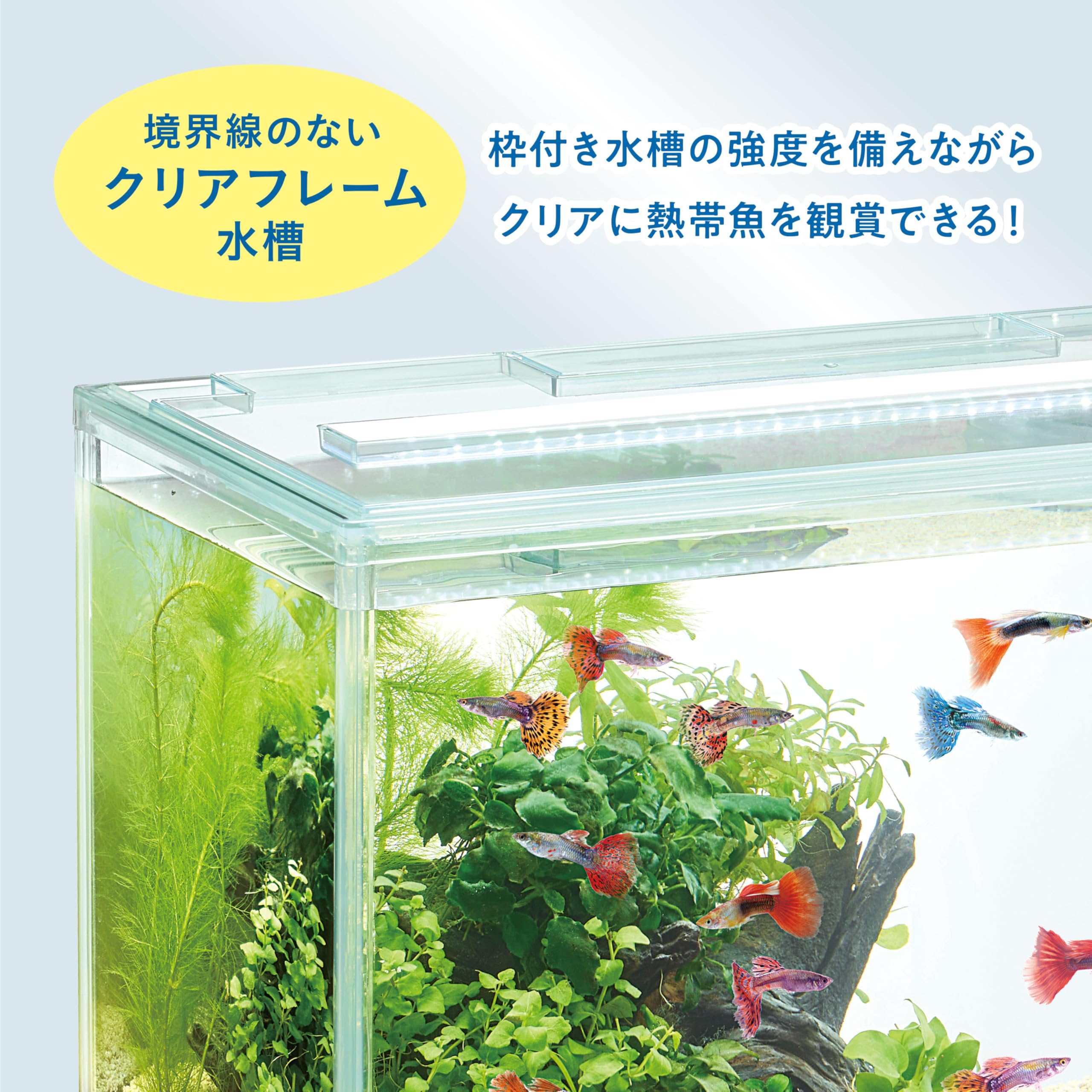 Amazon | ジェックス アクアクリアセット500 幅50cm水槽 熱帯魚 Amazon | ジェックス アクアクリアセット500 幅50cm水槽 熱帯魚