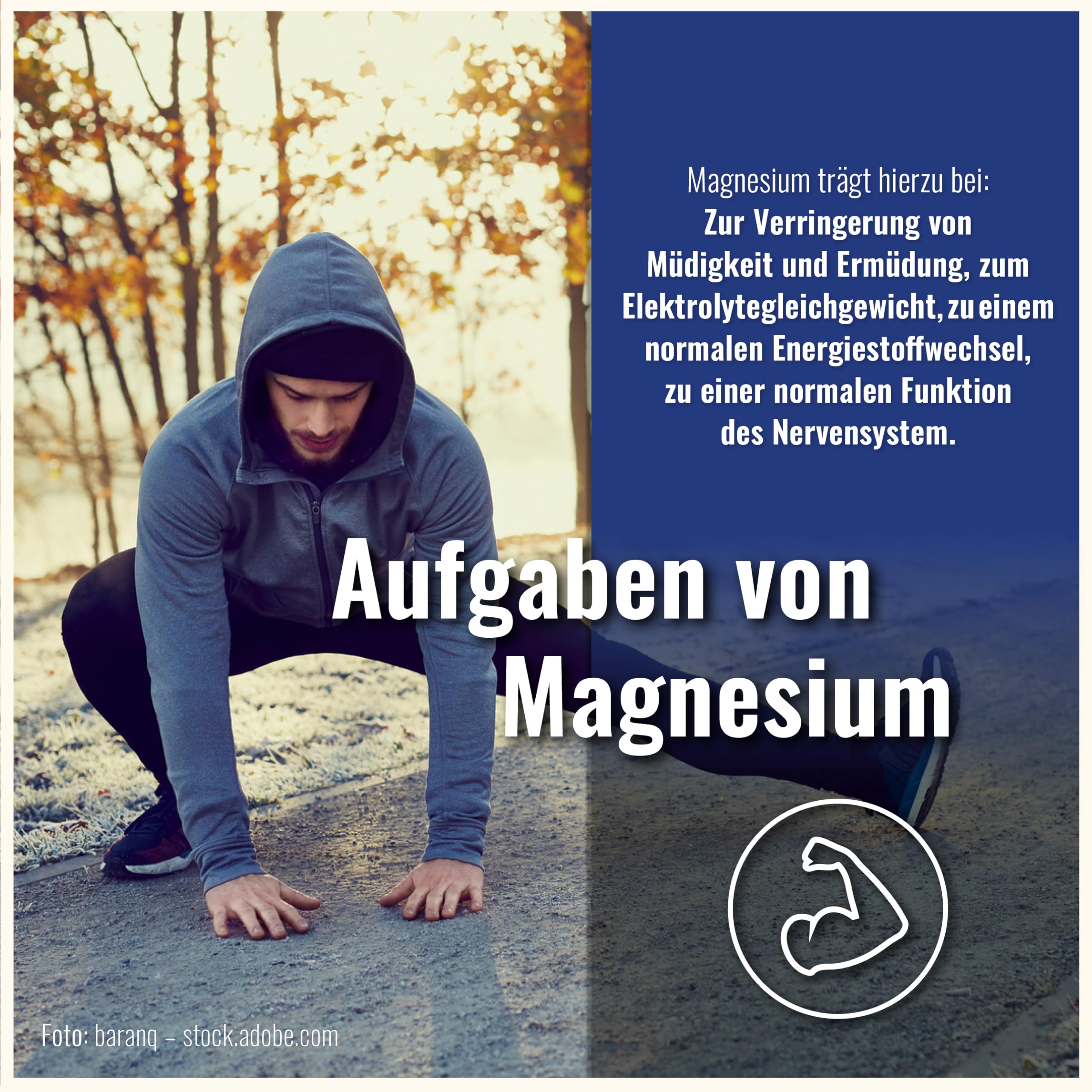 Magnesium Bisglycinat hochdosiert Kapseln – 300 Magnesium Glycinat Hochdosiert Kapseln – Bisglycinat 400mg pro Tagesdosierung – Vegan MagnesiumBisglycinat – MagnesiumGlycinate, Magnesiumglycinat