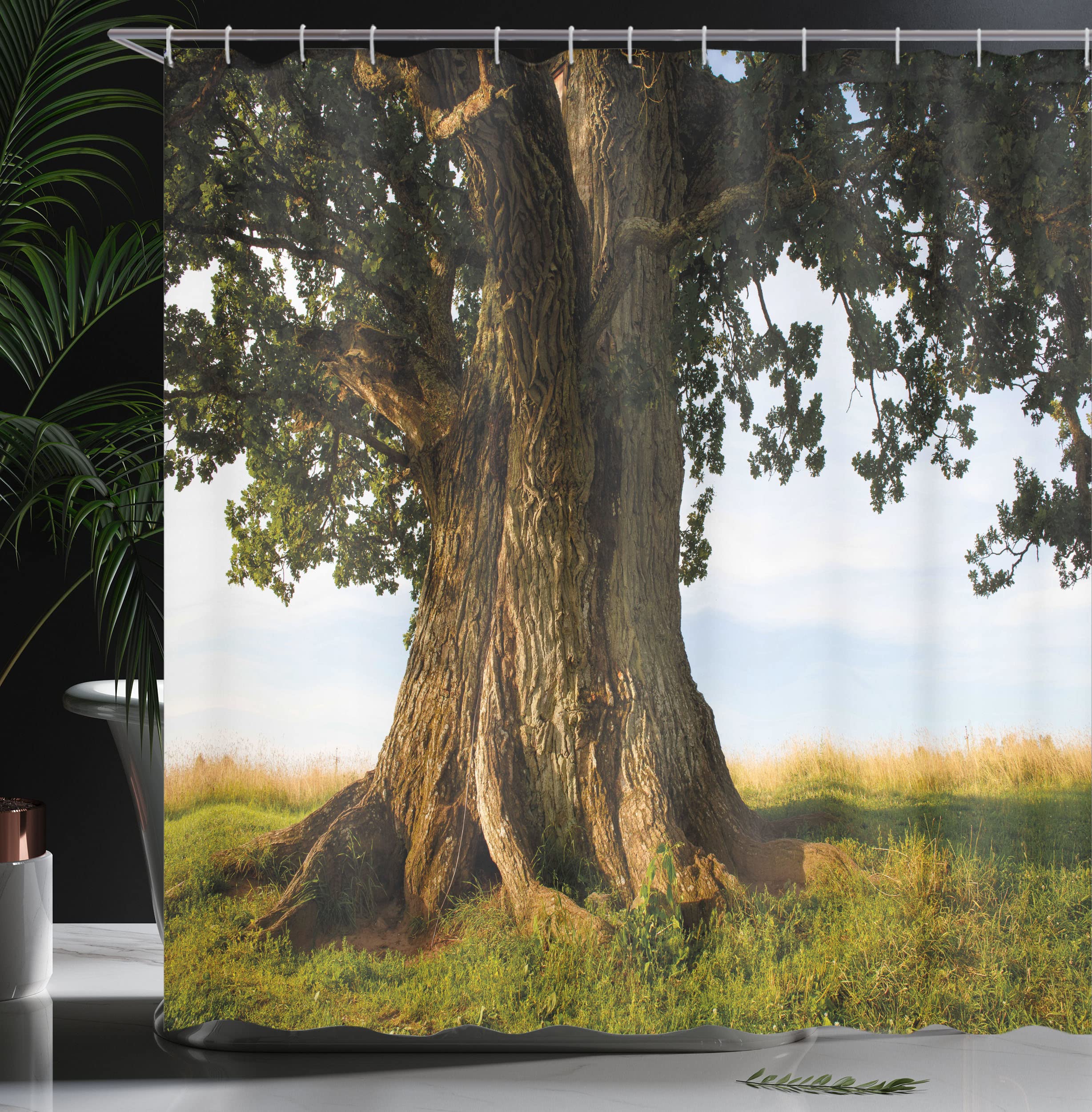 ABAKUHAUS Nature Shower Curtain, Majestic Oak Tree on Grass Estonia Northern Europe Rural in Summer Landscape - Image 3