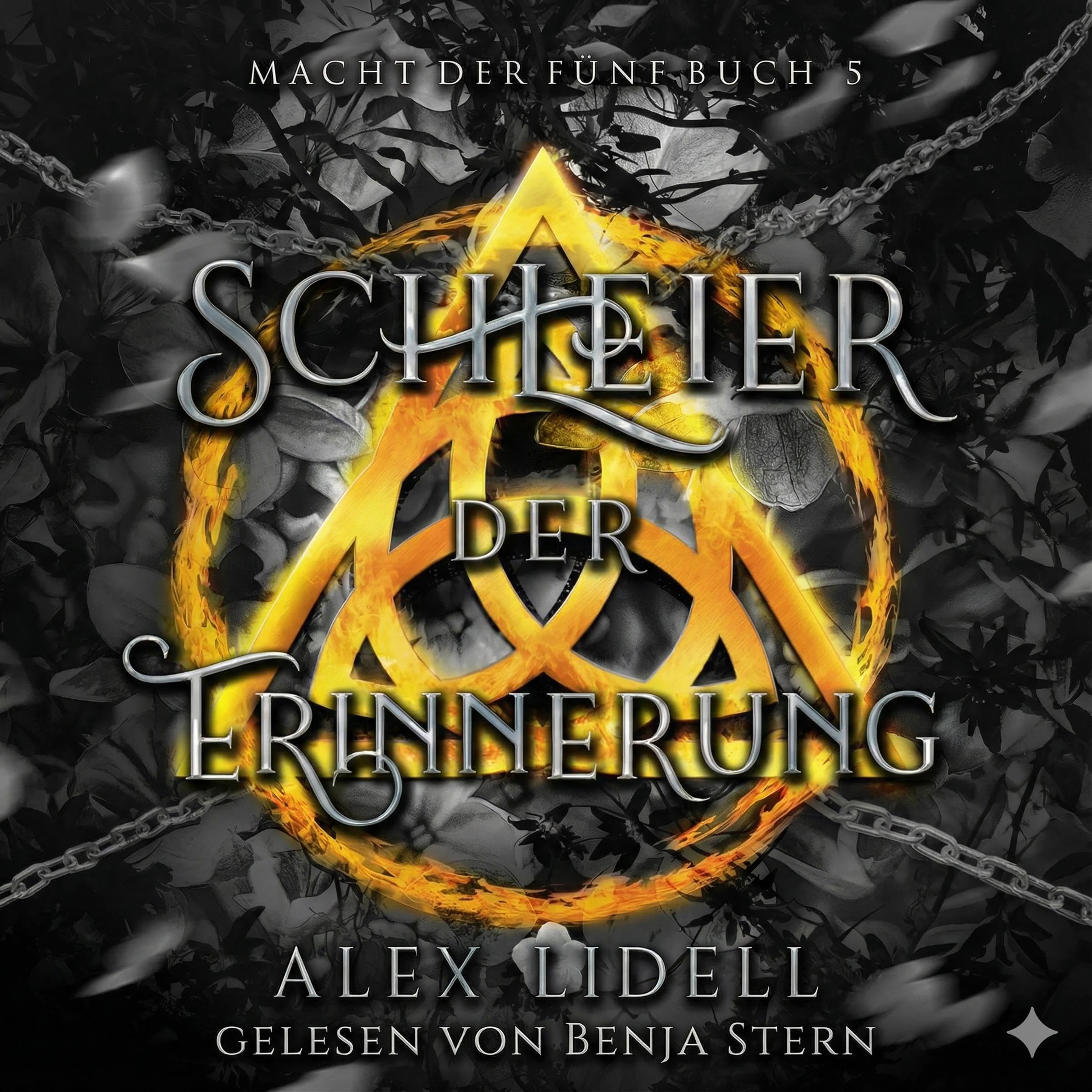 Cover art for Schleier der Erinnerung, Macht der Fünf Buch 5
