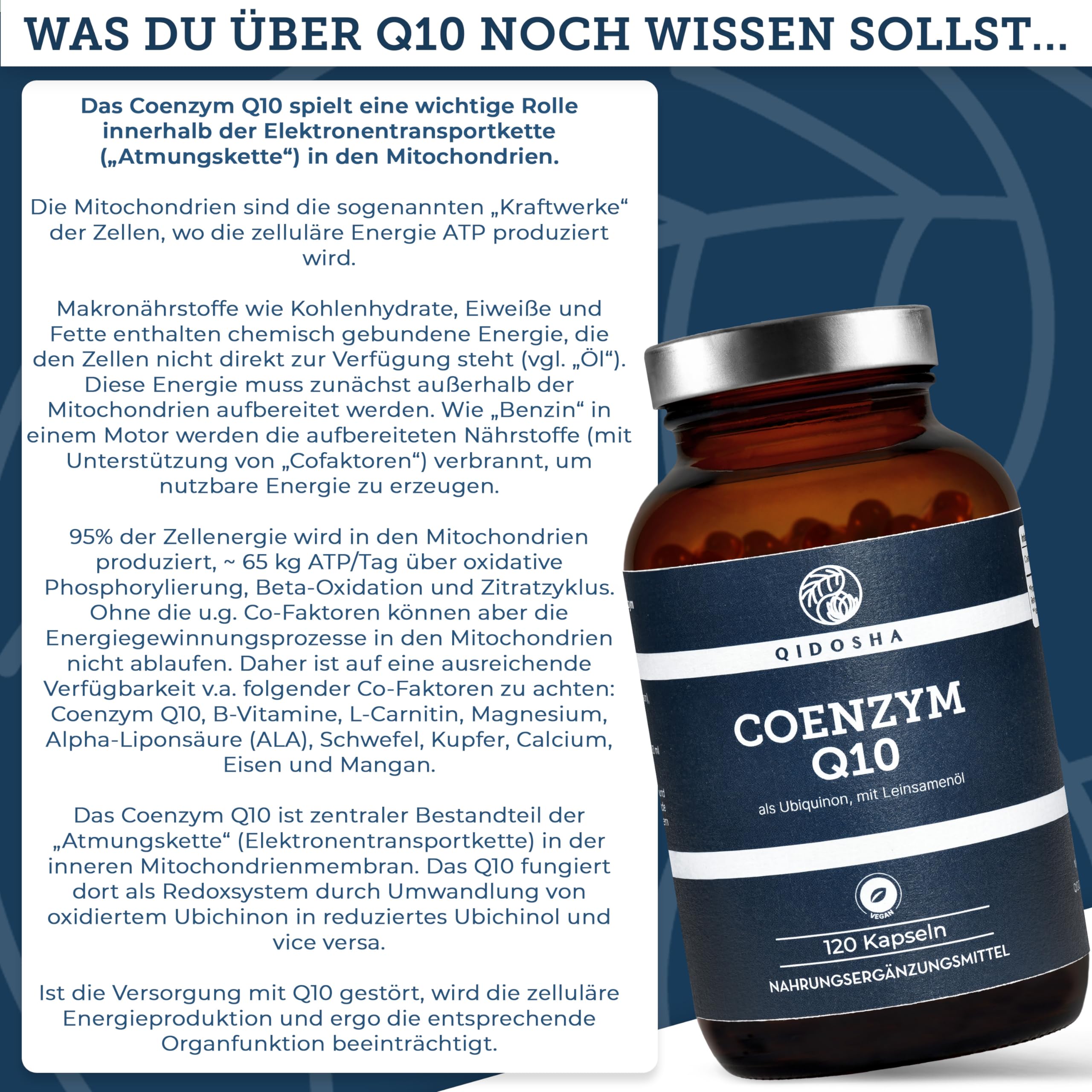 QIDOSHA® Coenzym Q10 Kapseln hochdosiert, 200mg Coenzym Q10 flüssig je Kapsel, 120 vegane Softgel-Kapseln im Glas, Ubiquinon eingebettet in Leinsamenöl für optimale Bioverfügbarkeit, Q10 als Ubichinon