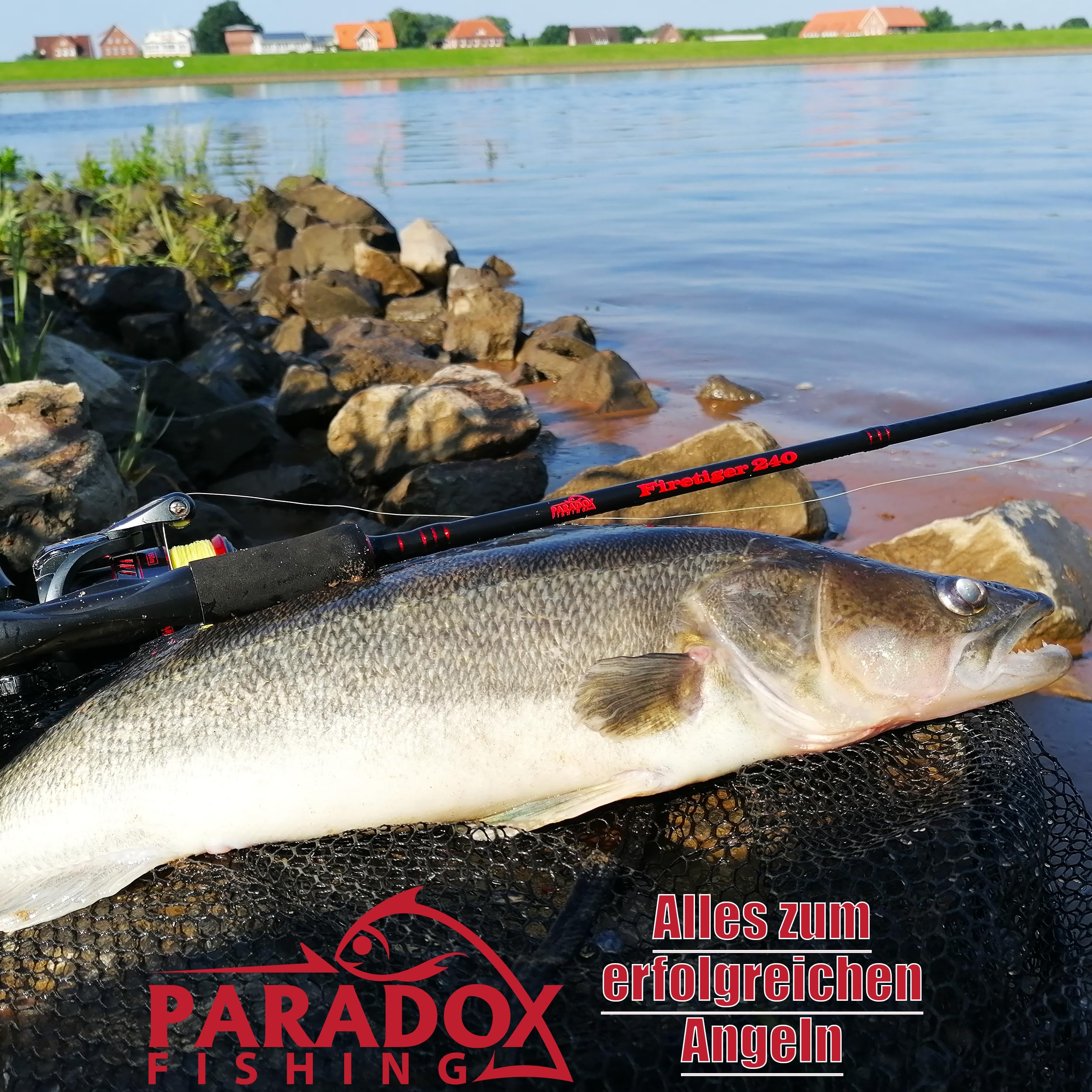 Paradox Fishing Lot de 5 leurres en caoutchouc Zander - 13 cm - Pour sandre