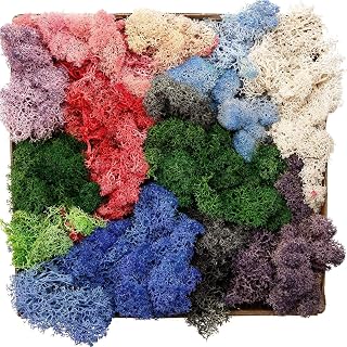 Musgo de reno preservado, 200 g, decoración natural, líquen, musgo seco artificial, para manualidades, boda, jardín, decoración de pared, plantas, flores, colores mezclados