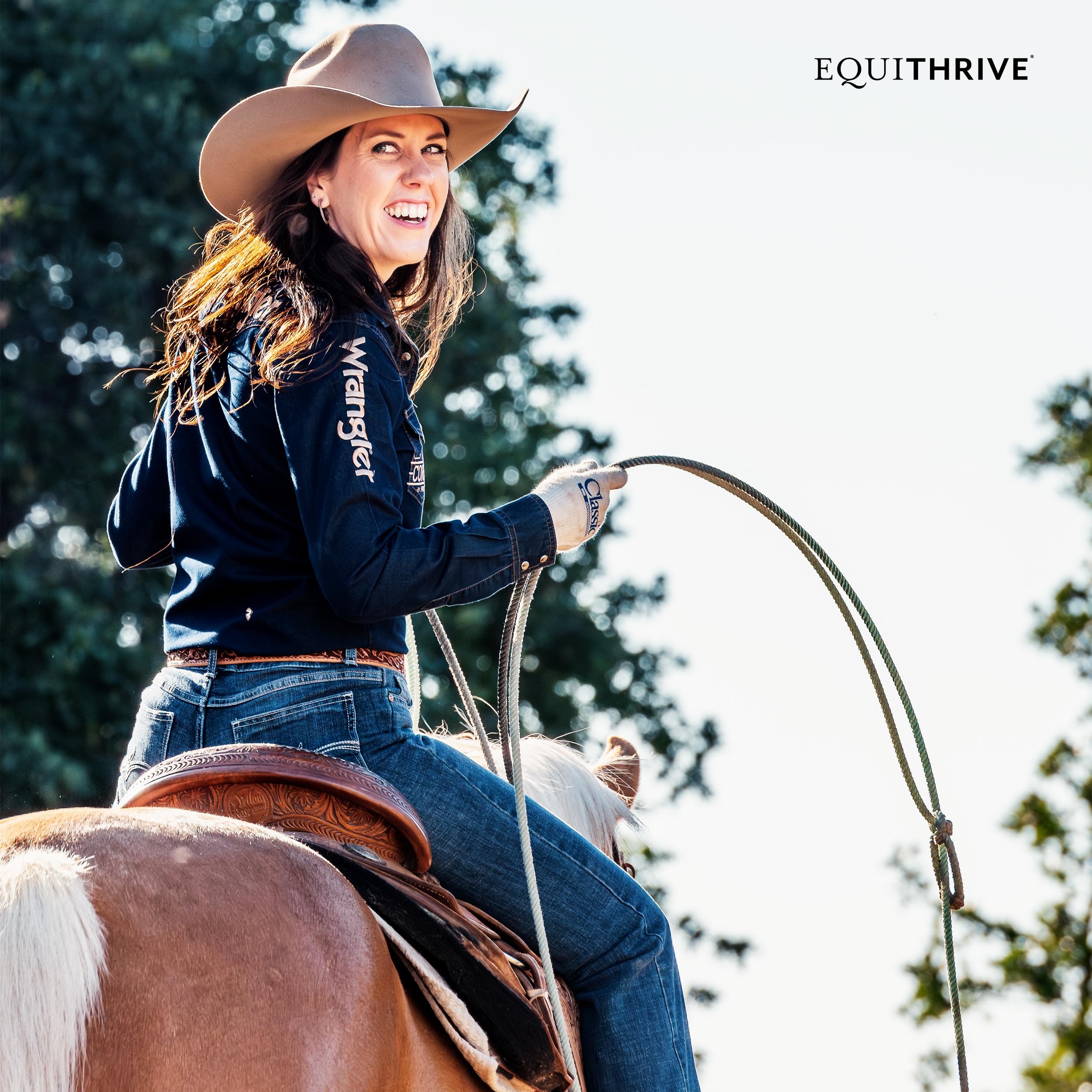 Equithrive Original Gelenkpulver Molassegeschmack 0,9 kg