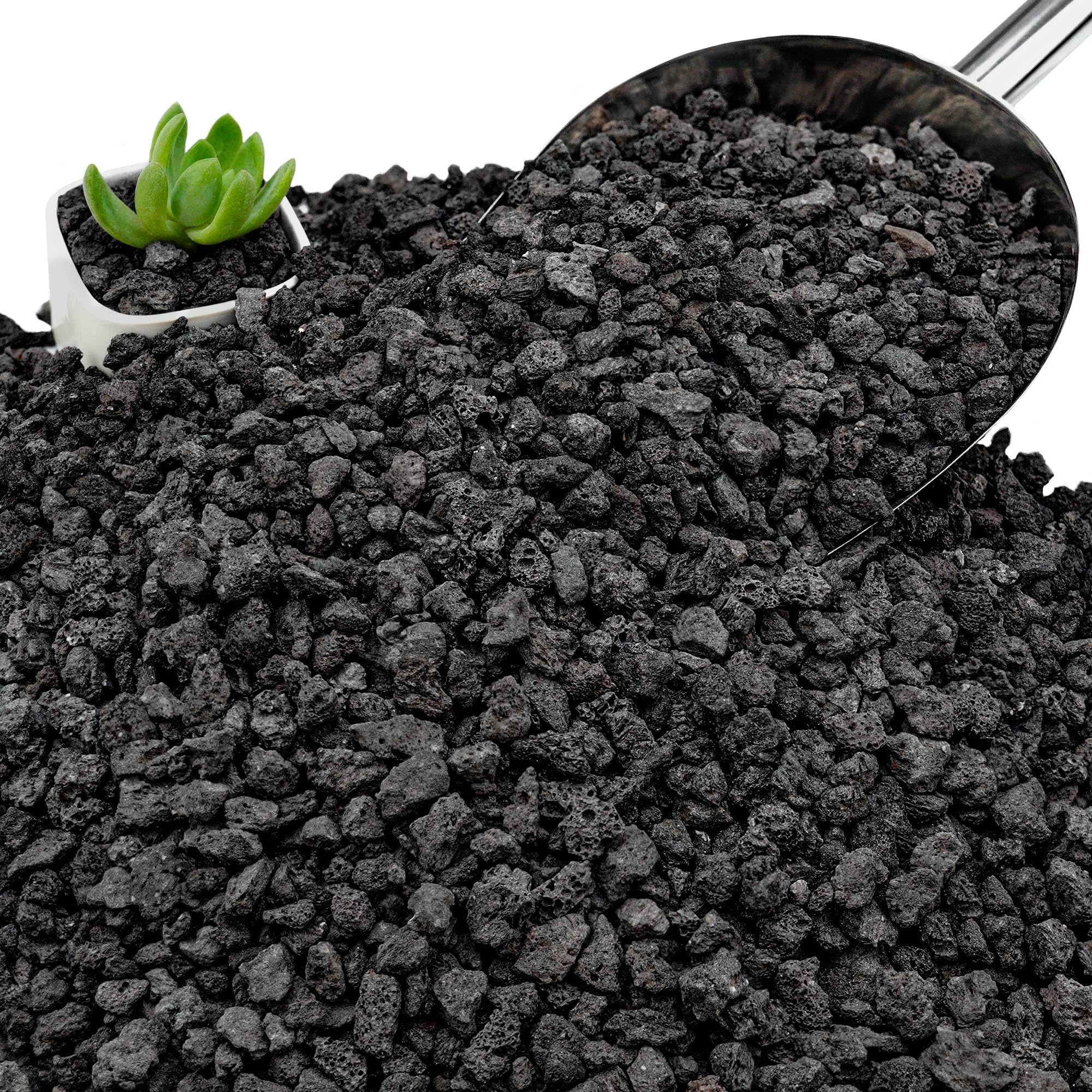 NUPICK 6lb Black Lava Rocks
