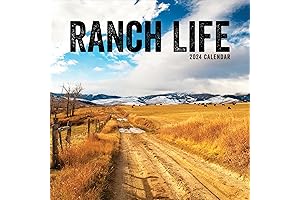 Colt Men Calendar 2024