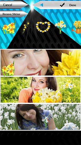 Colagem de Foto de Daffodils