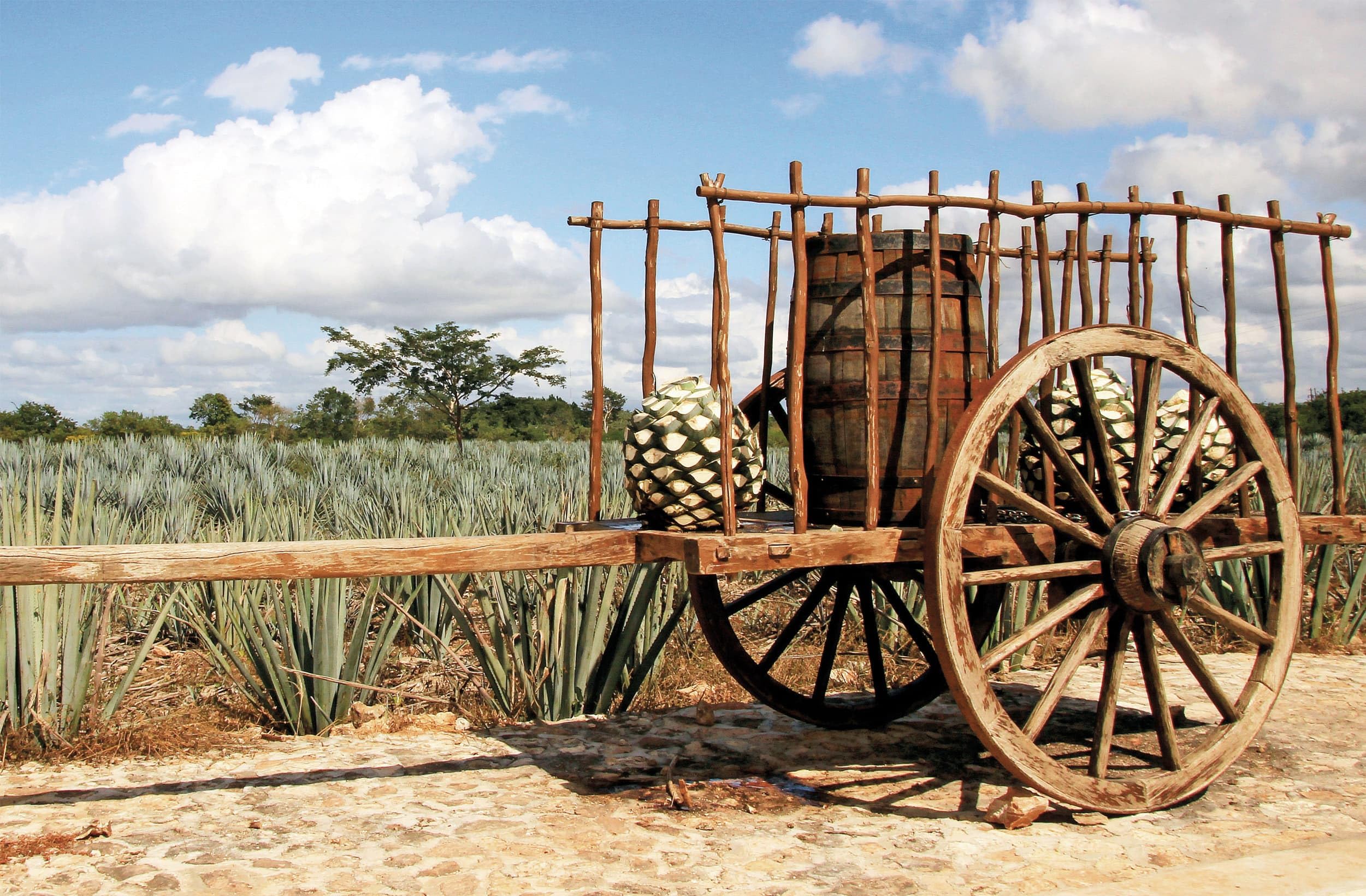 Padre azul Tasting Set Tequila Reposado 40% 0.7 l Geschenkpackung mit zwei Gläsern