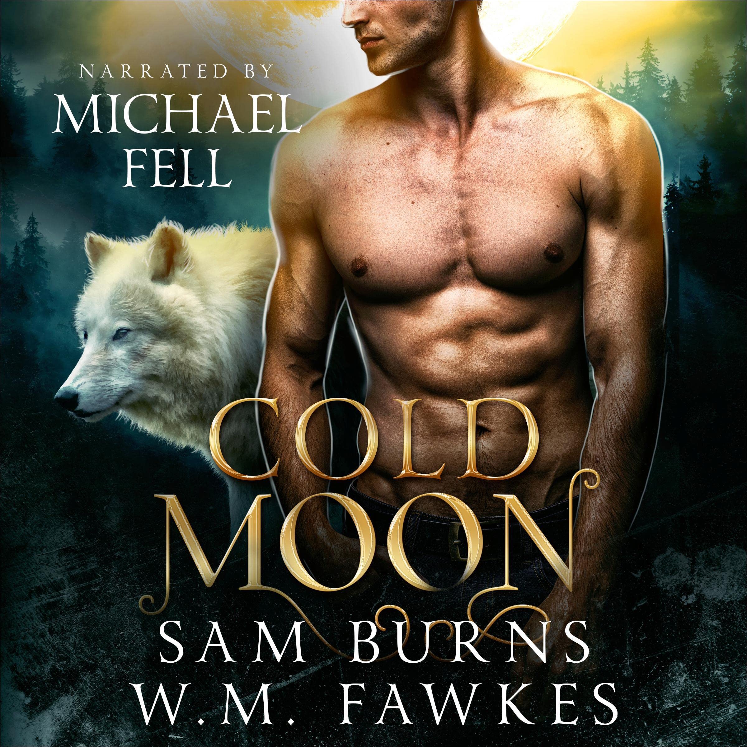 Cover art for Cold Moon