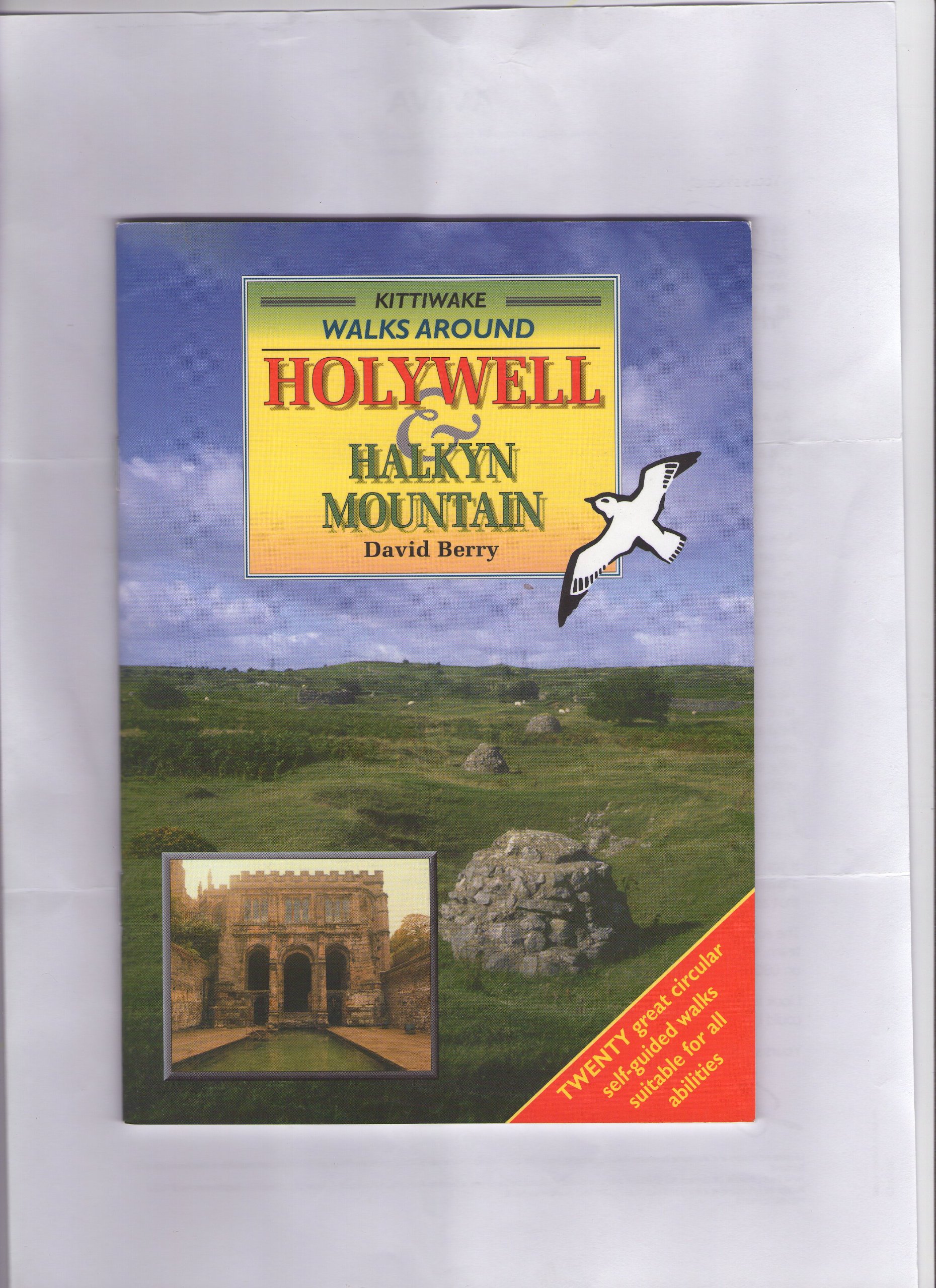 Holywell and Halkyn Mountain