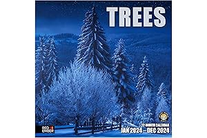 Red Ember Wall Calendar 2023