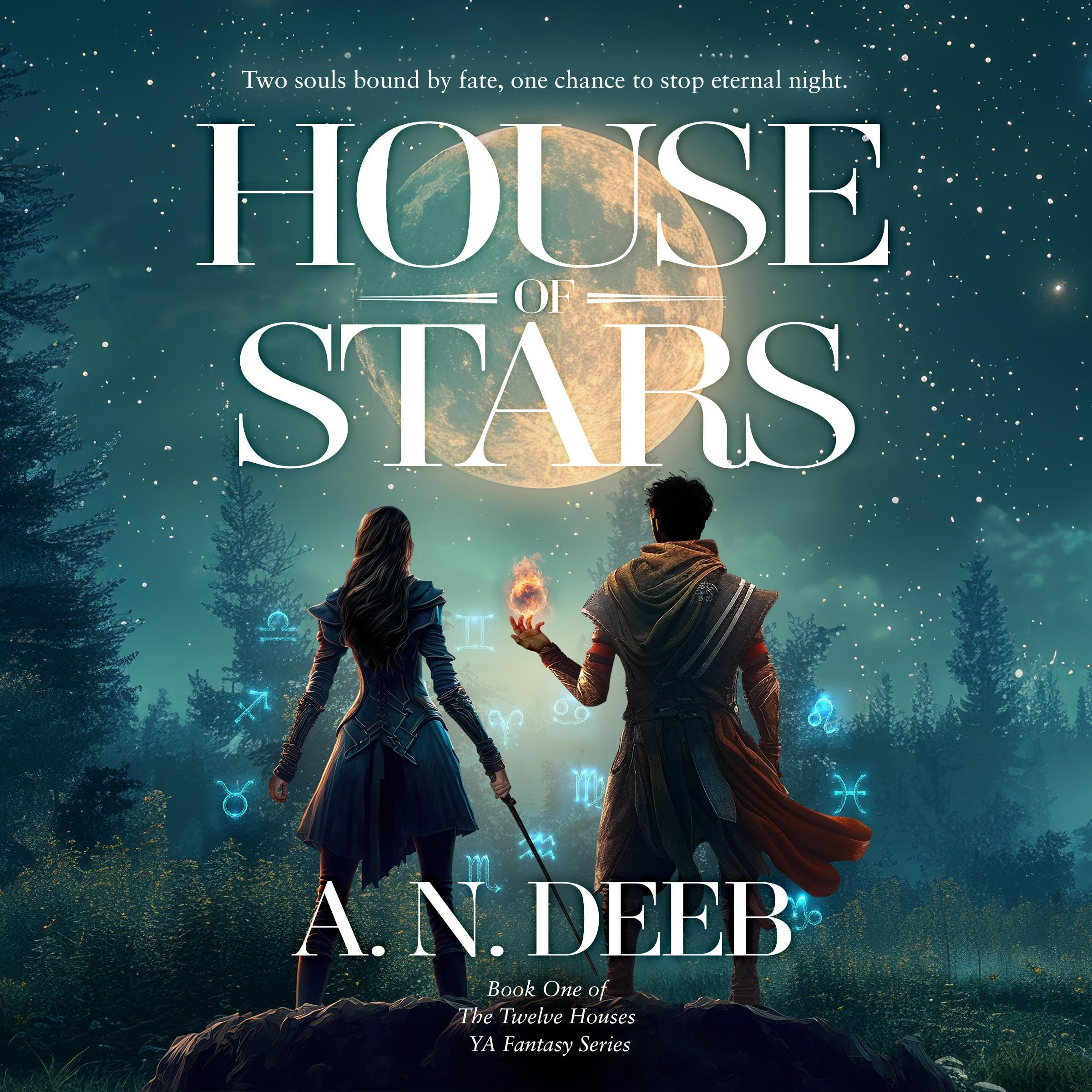 Cover art for House of Stars