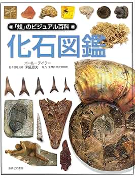 91LpBi9dyuL._AC_UF350,