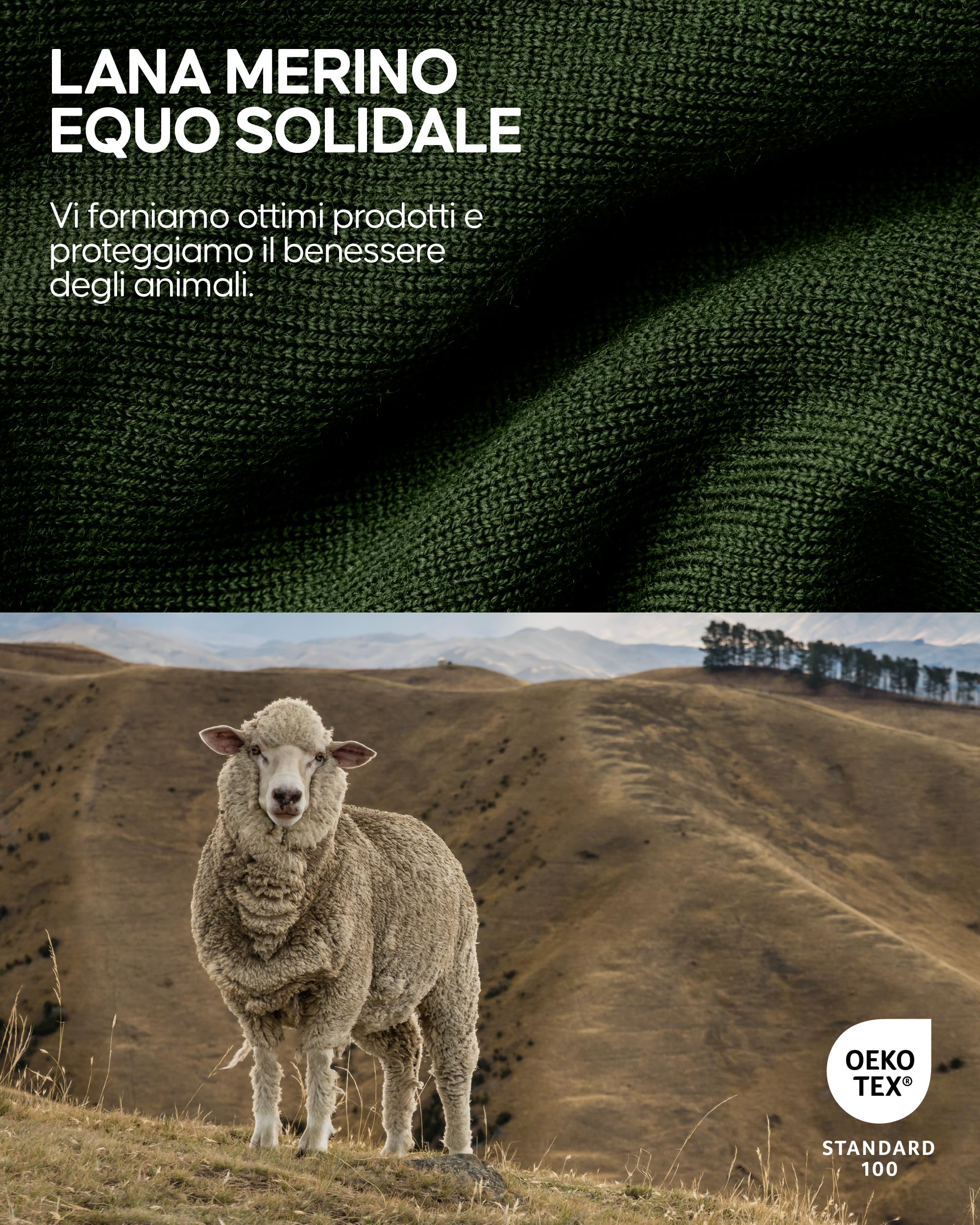 DANISH ENDURANCE Maglia Termica Uomo in Lana Merino, Manica Lunga, Intimo Termico per Sci, Trekking, Escursionismo con o Senza Chiusura Zip