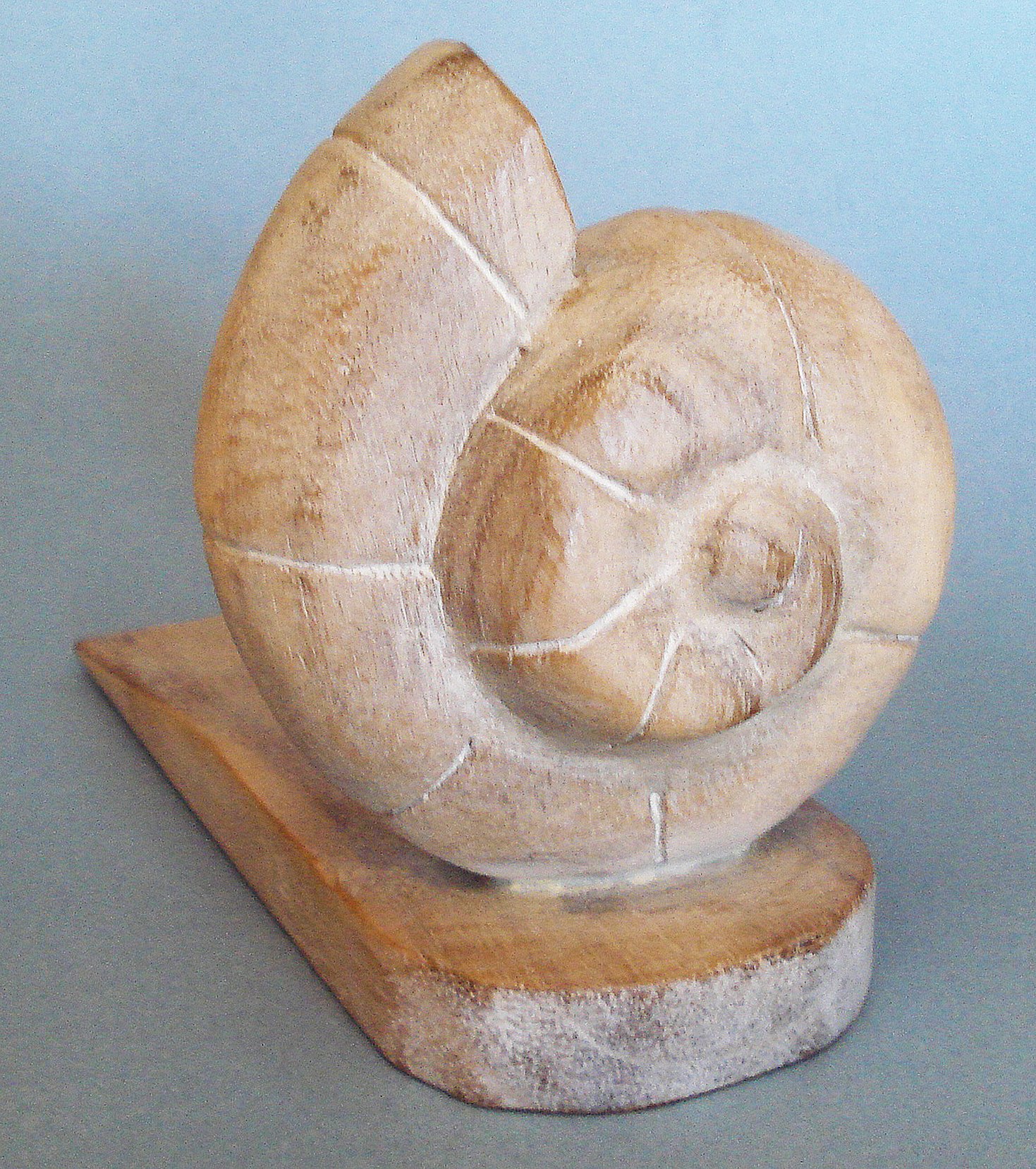 Doorstops - Wooden Nautilus Shell Door Stop - Nautilus Shell Doorstop - Nautilus Door Stopper