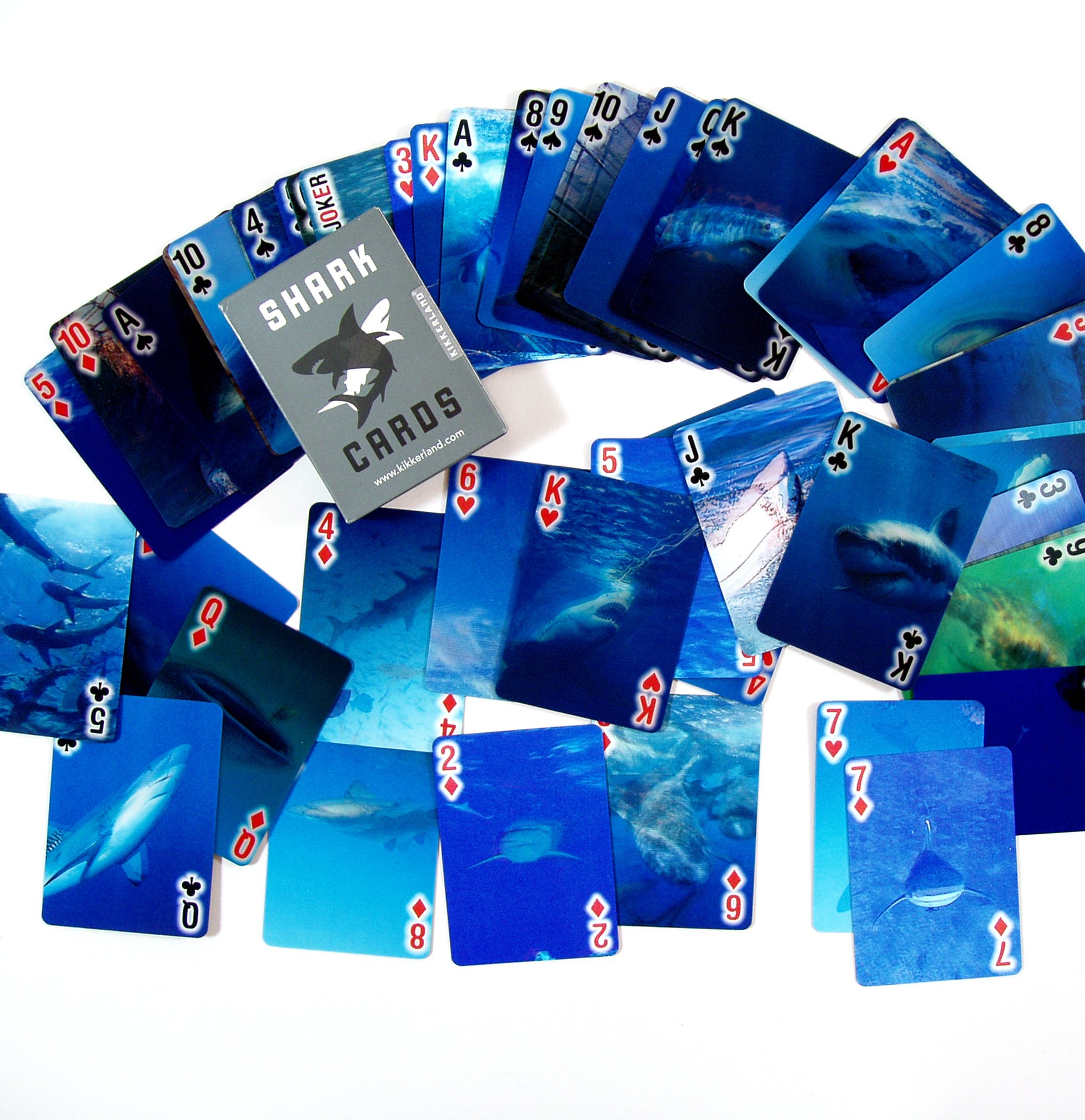 Amazon.com: Kikkerland Lenticular 3-D Shark Poker-Size Playing