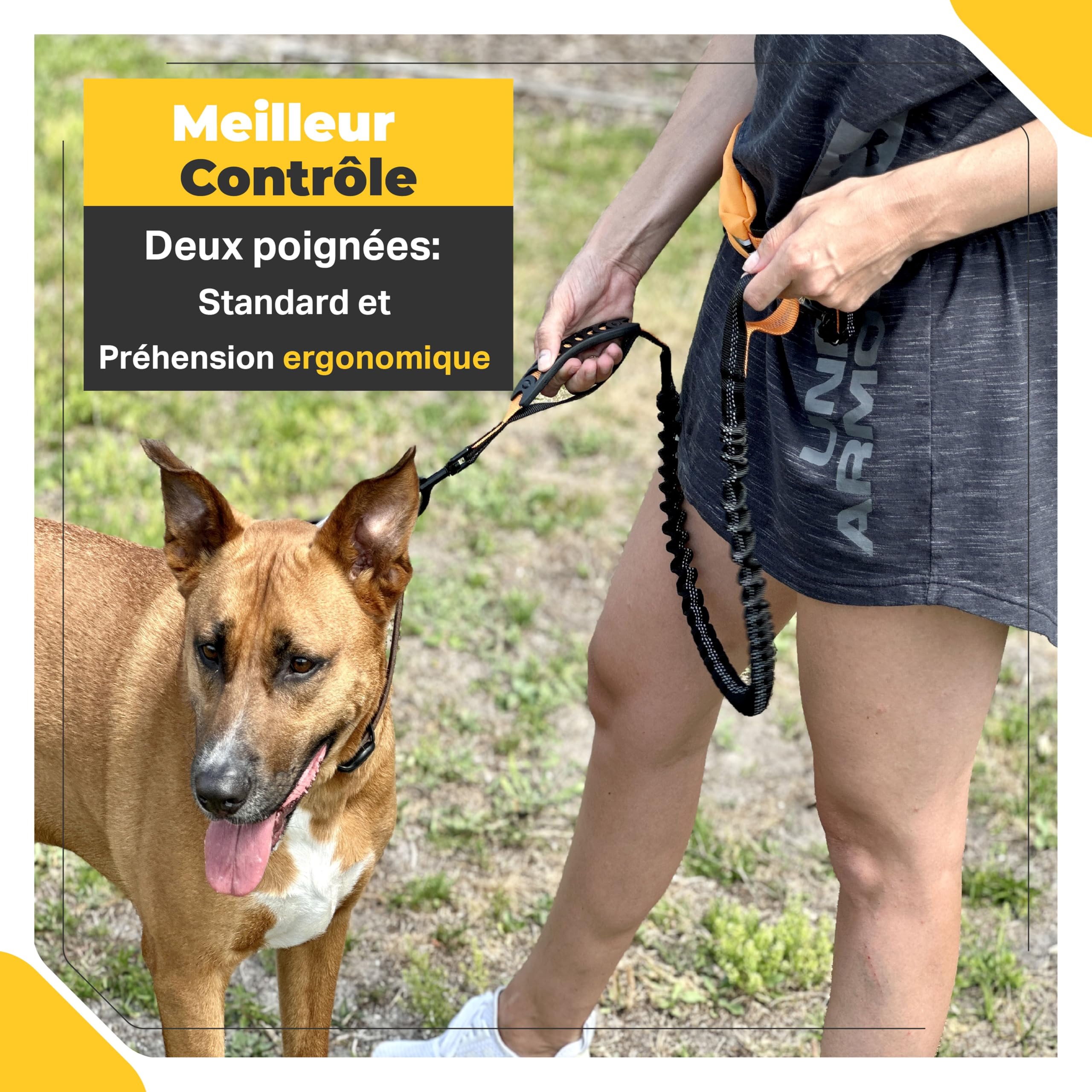 Barkswell Laisse Canicross Chien - Baudrier Canicross - Ceinture Canicross - Laisse Main Libre