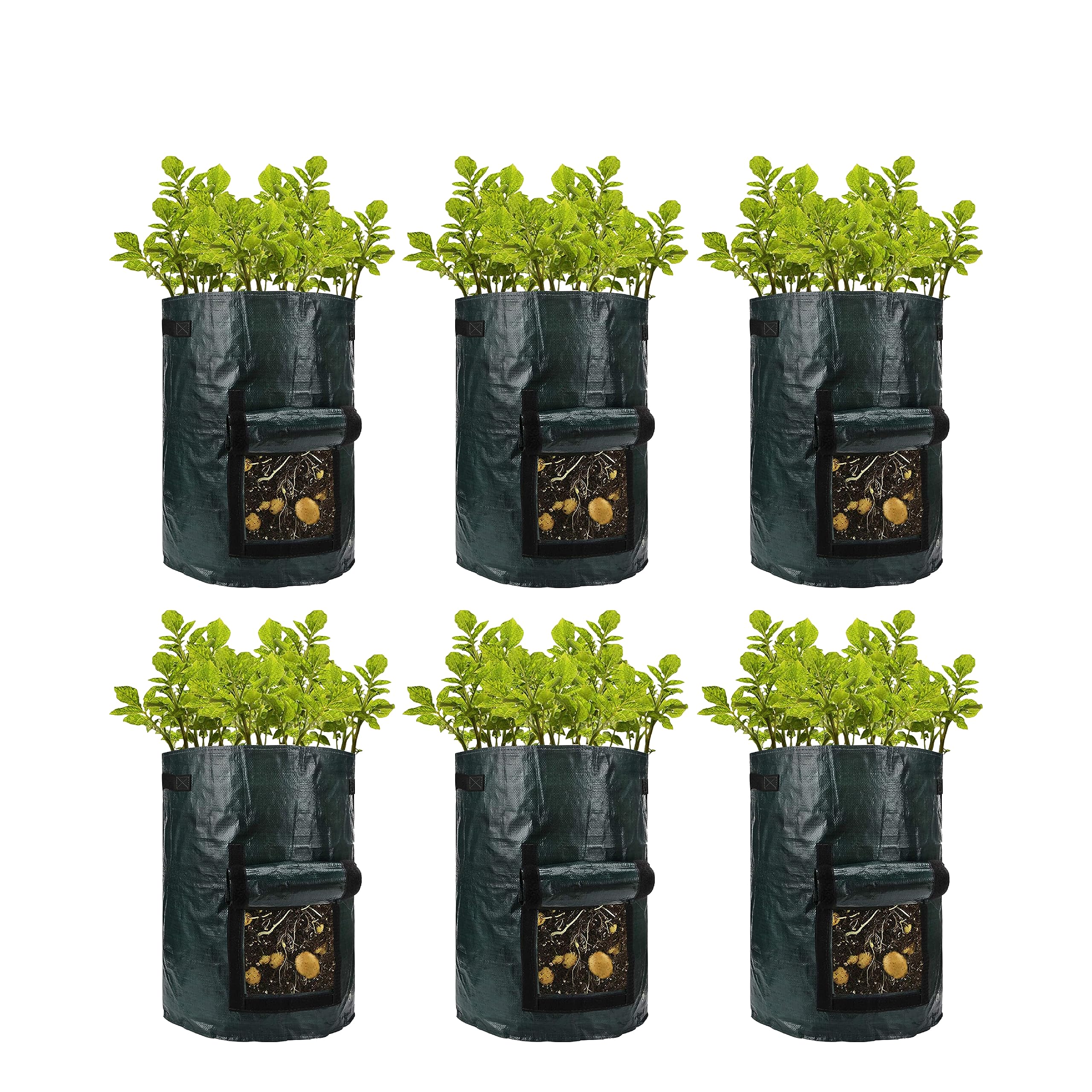 Sul Six Pack Potato Grow Bag Garden Plant Bags 10 Gallon Pots With Window Flap & Handle Plant Growing Bag For Potatoes, Tomato,Carrot Strawberry (Six Pack)
