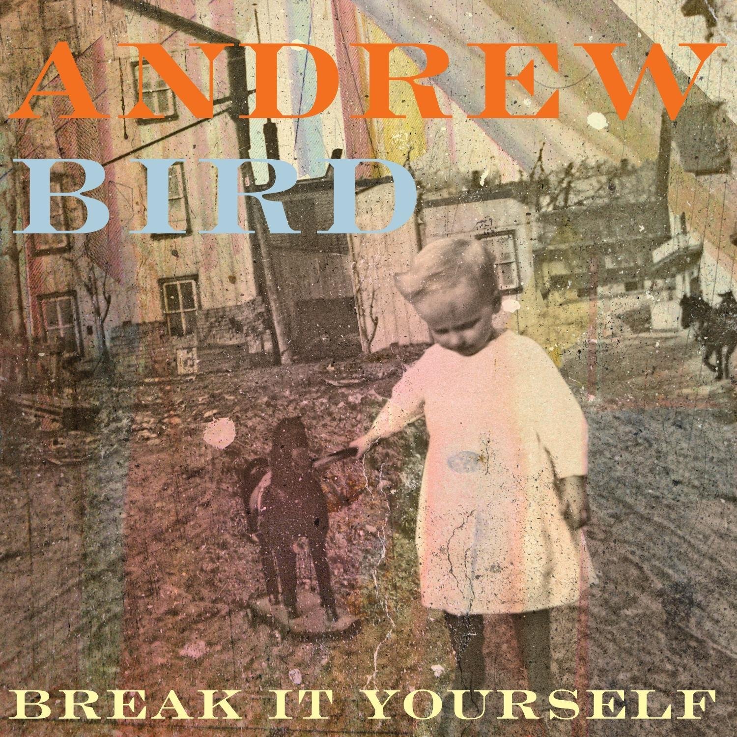 Break It Yourself [Audio CD] Bird, Andrew