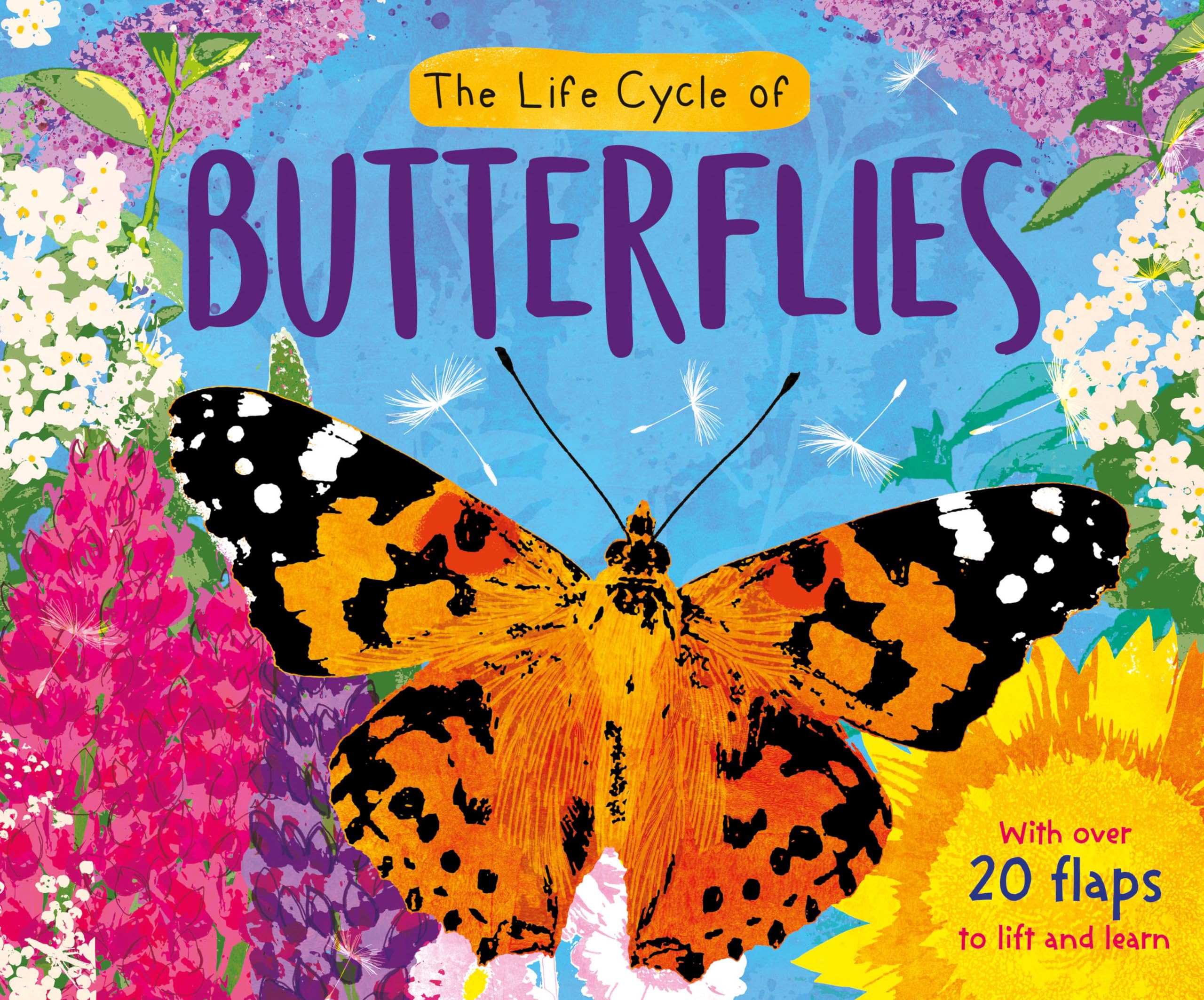 North Parade Life Cycle of Butterflies