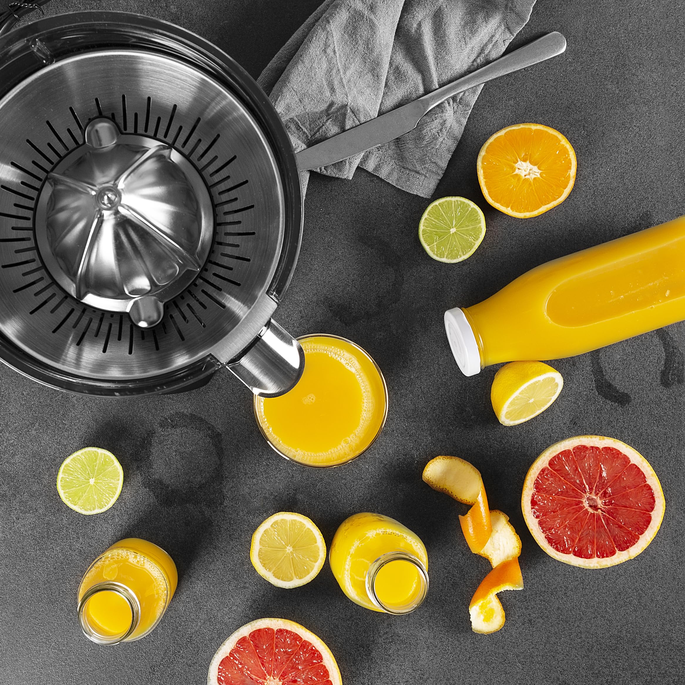 Princess Master Juicer Pro Edelstahl Presskegel Rostfreier Edelstahl Silber