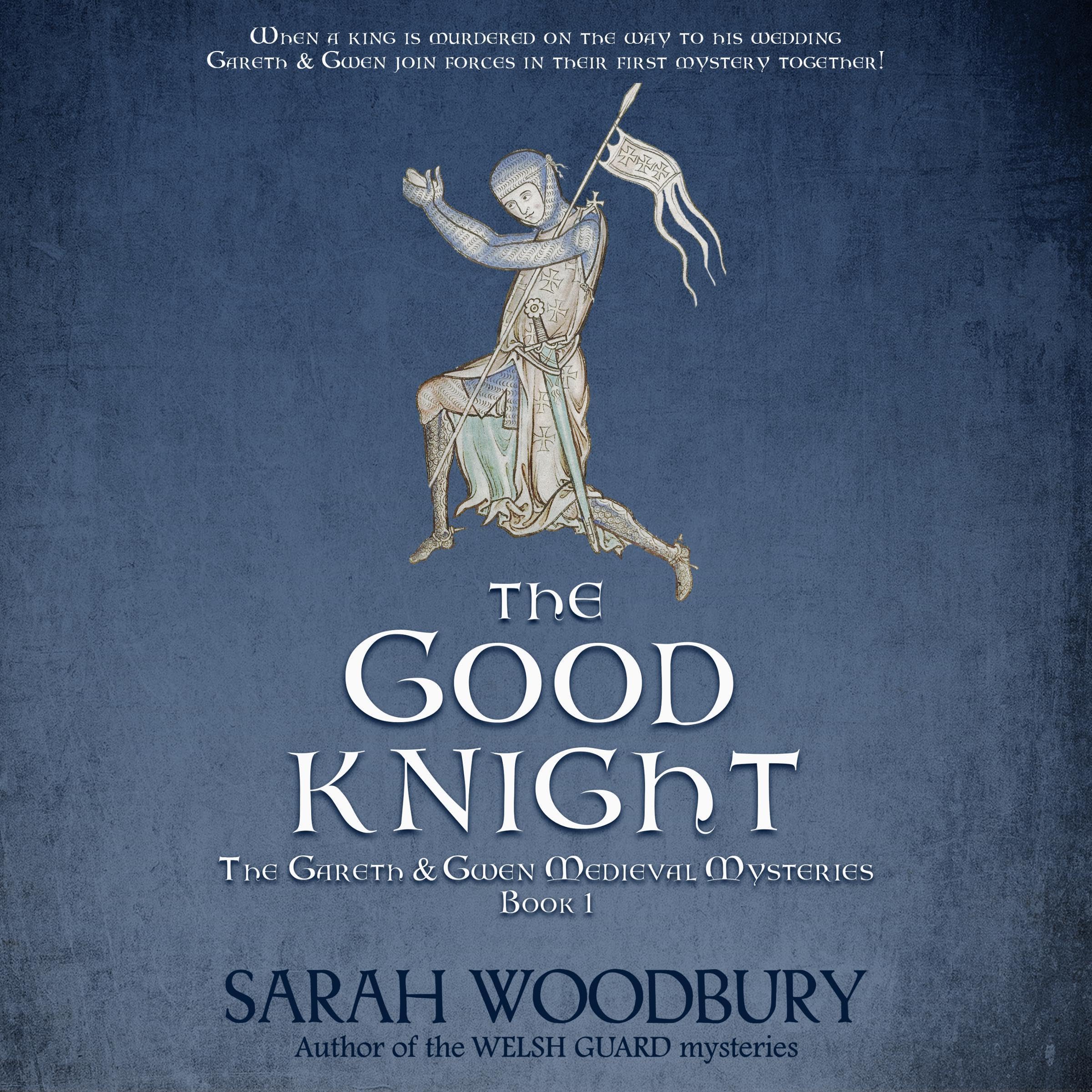 Cover art for The Good Knight