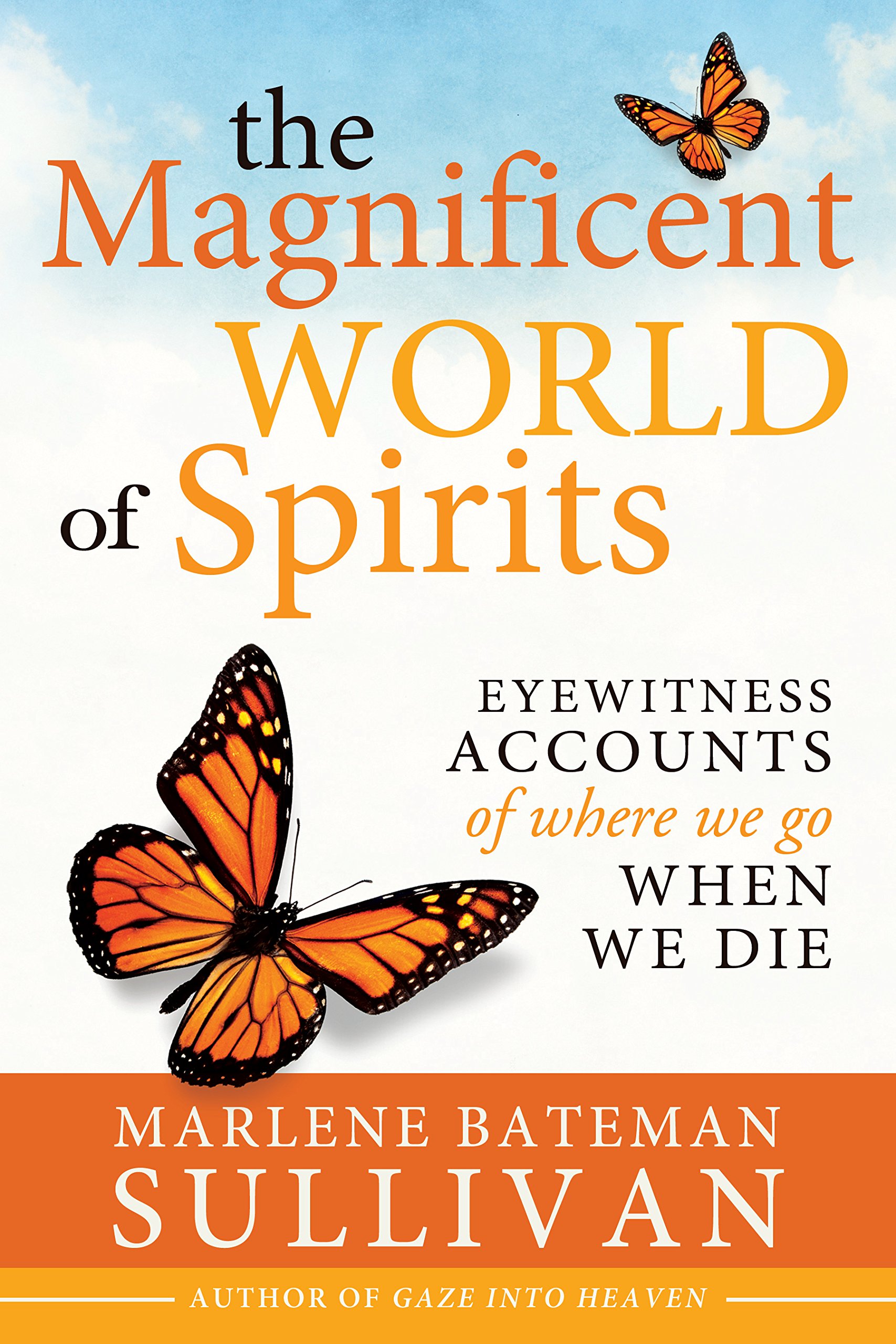 The Magnificent World of Spirits: Eyewitness Accounts of Where We Go When We Die (Latter-day Saint Book on Death and Near Death Experiences 10)