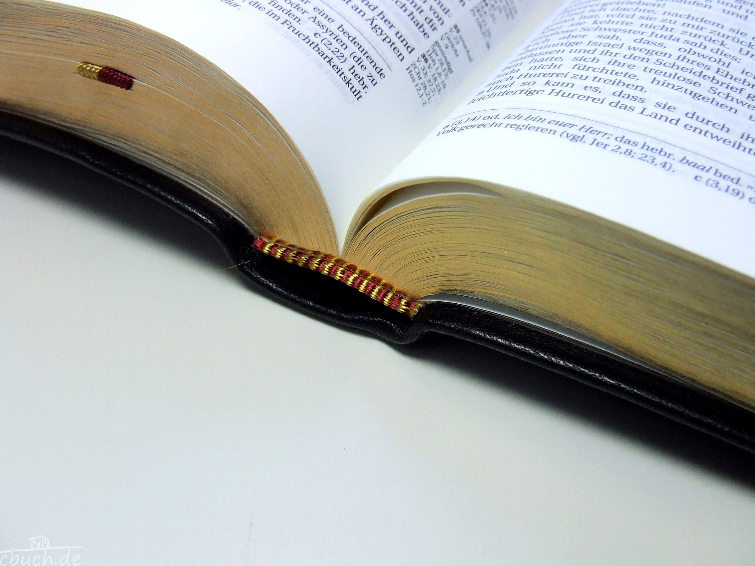 Schlachter 2000 Bibel - Taschenausgabe (Softcover, schwarz, Goldschnitt, Griffregister): Taschenausgabe mit Parallelstellen, Kalbsleder-Einband ... / neue Rechtschreibung / Fadenheftung